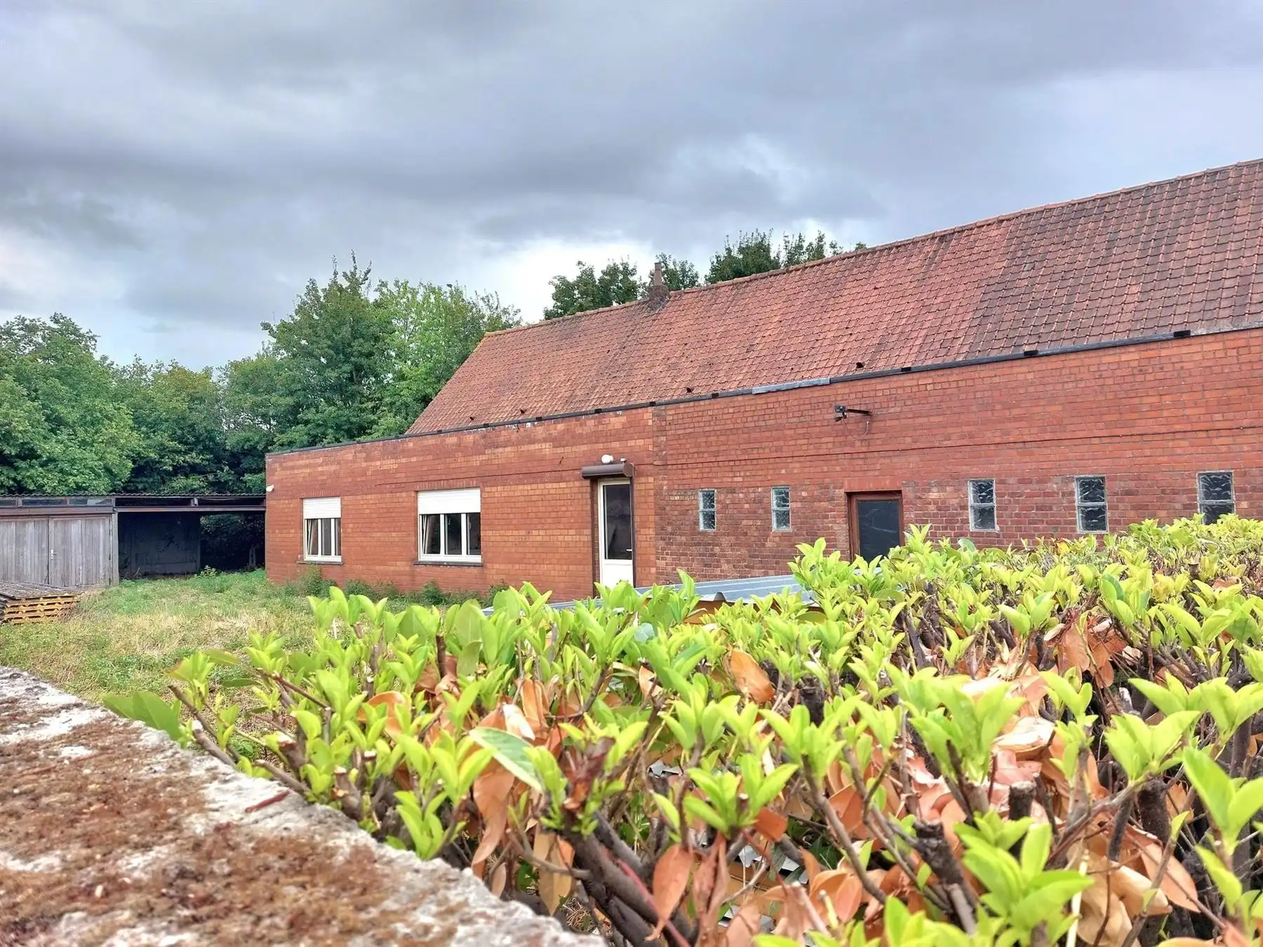 Hoofdfoto van de publicatie: TE RENOVEREN HOEVE OP 8 ARE 78 CA