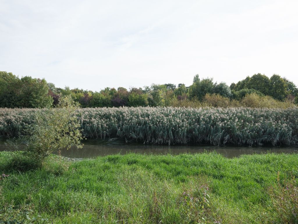 Sint-Amandsberg. Op te frissen directeurswoning met bijhorend magazijn en afzonderlijke loft op een boogscheut van het centrum van Gent. foto 29