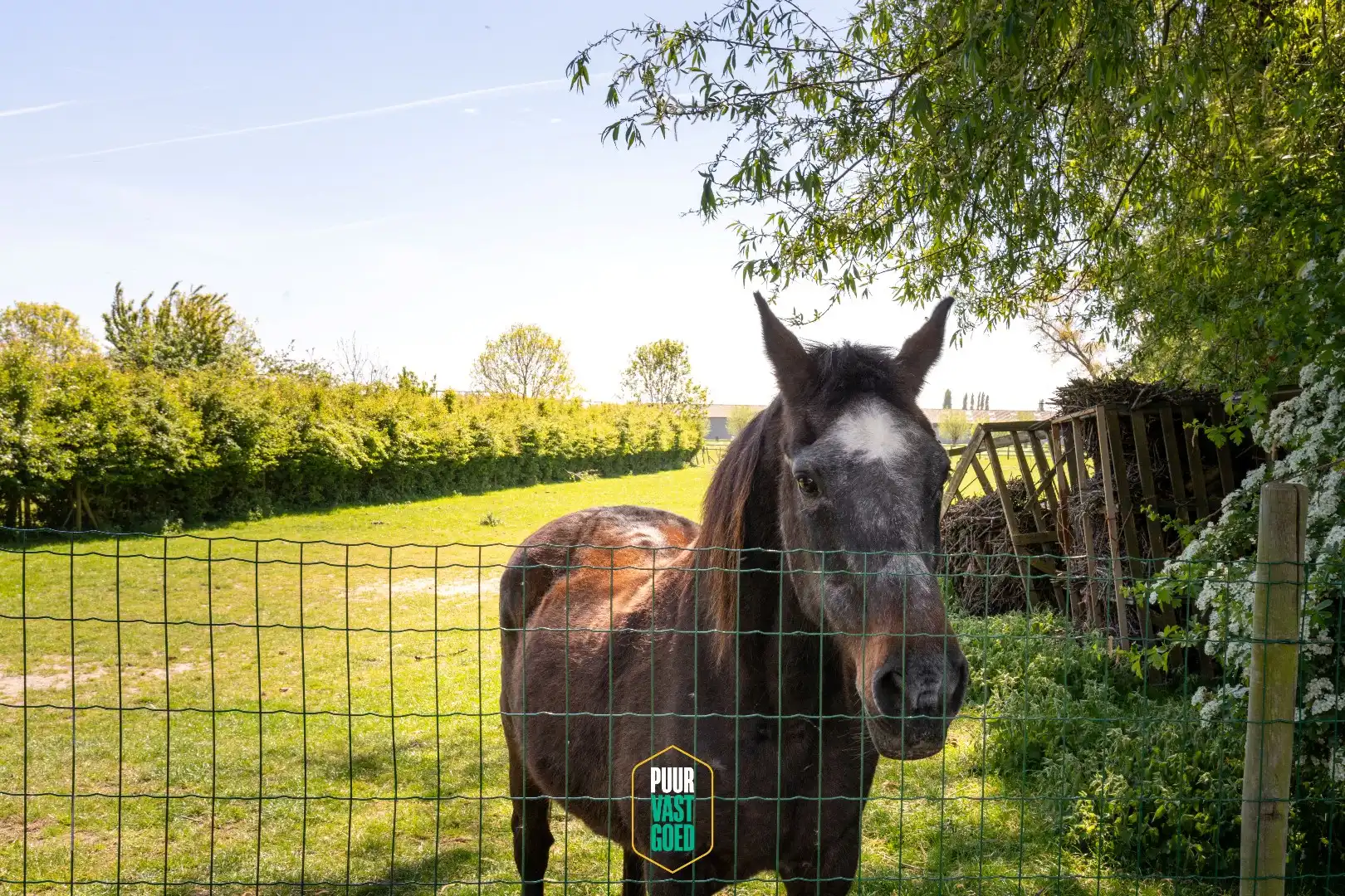 Prachtige, compleet gerenoveerde, zonnige woning met tuin foto 26