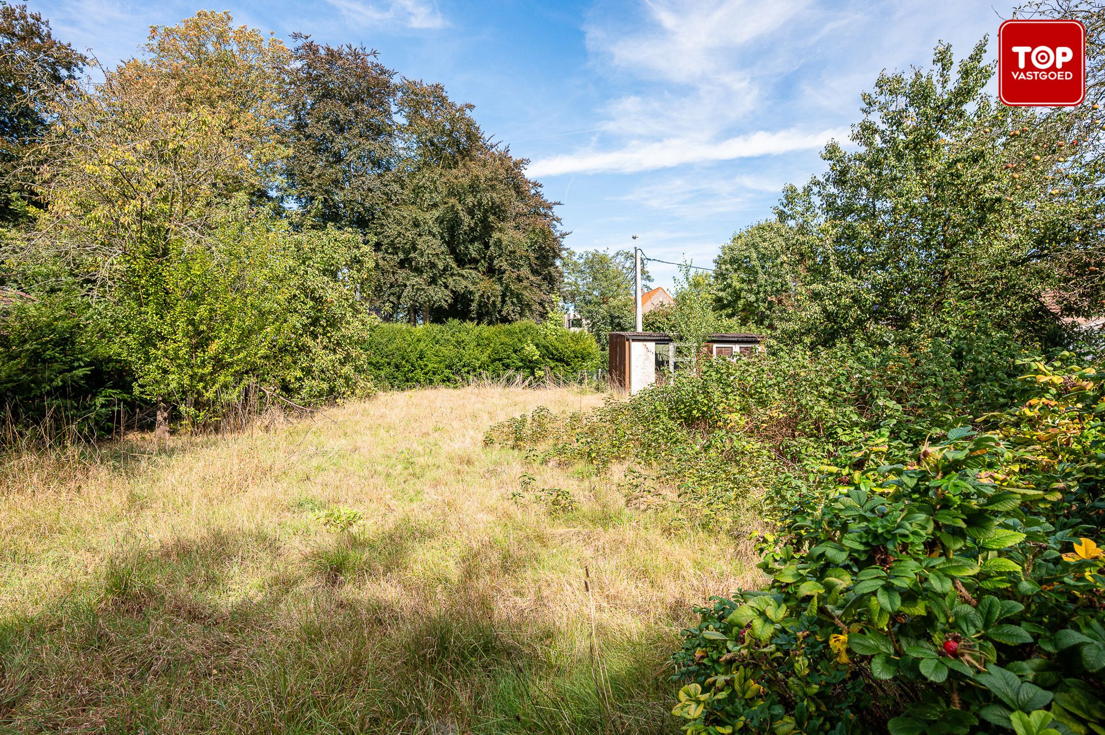 Ruim perceel op een Top locatie in Mariakerke foto 4