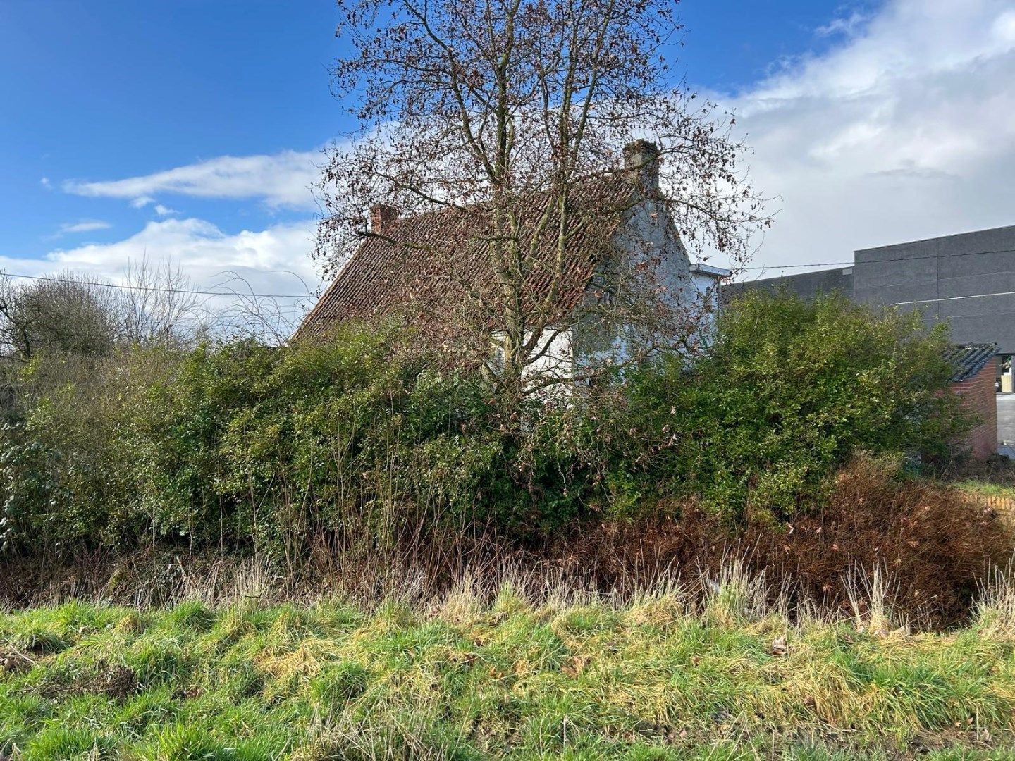 Te slopen en her op te bouwen woning TE KOOP tussen Sint-Eloois-Vijve en Desselgem, totale oppervlakte van de percelen 7639m²!! foto 7