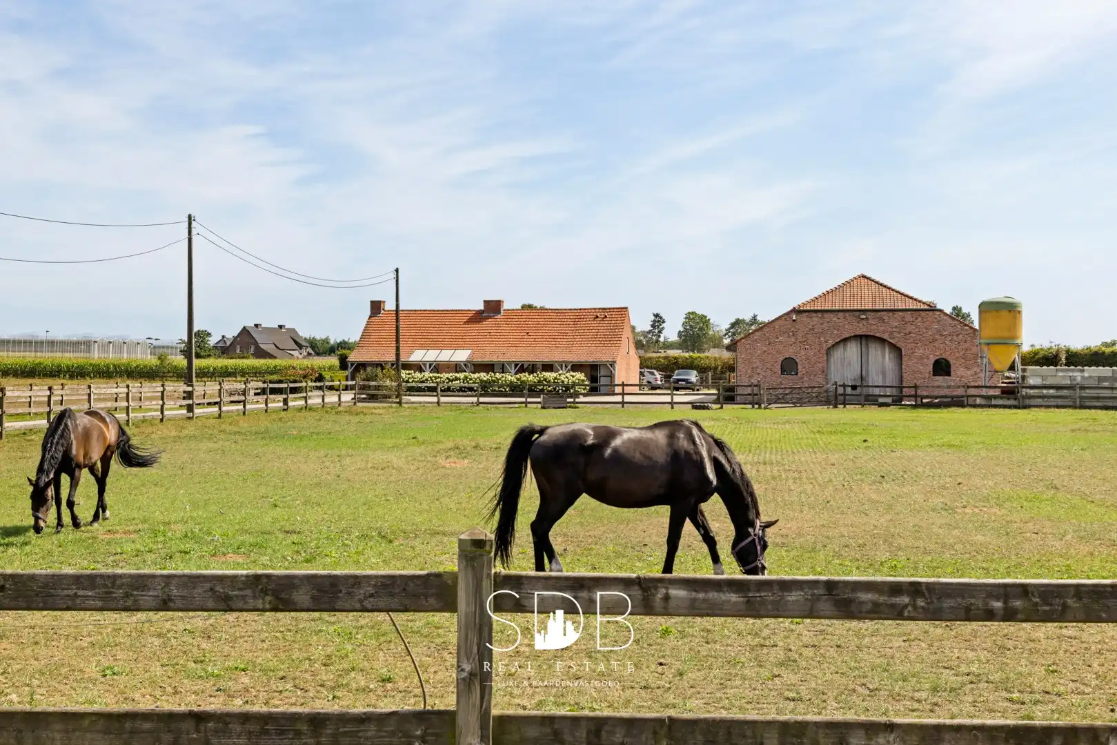 Prachtige landelijke woning met hippische accommodatie op 2,5hectare foto 5