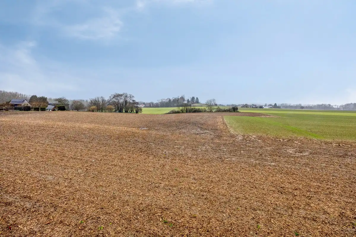 Landbouwgrond vrij van pacht in Bierbeek op een perceel van 1ha  foto 7