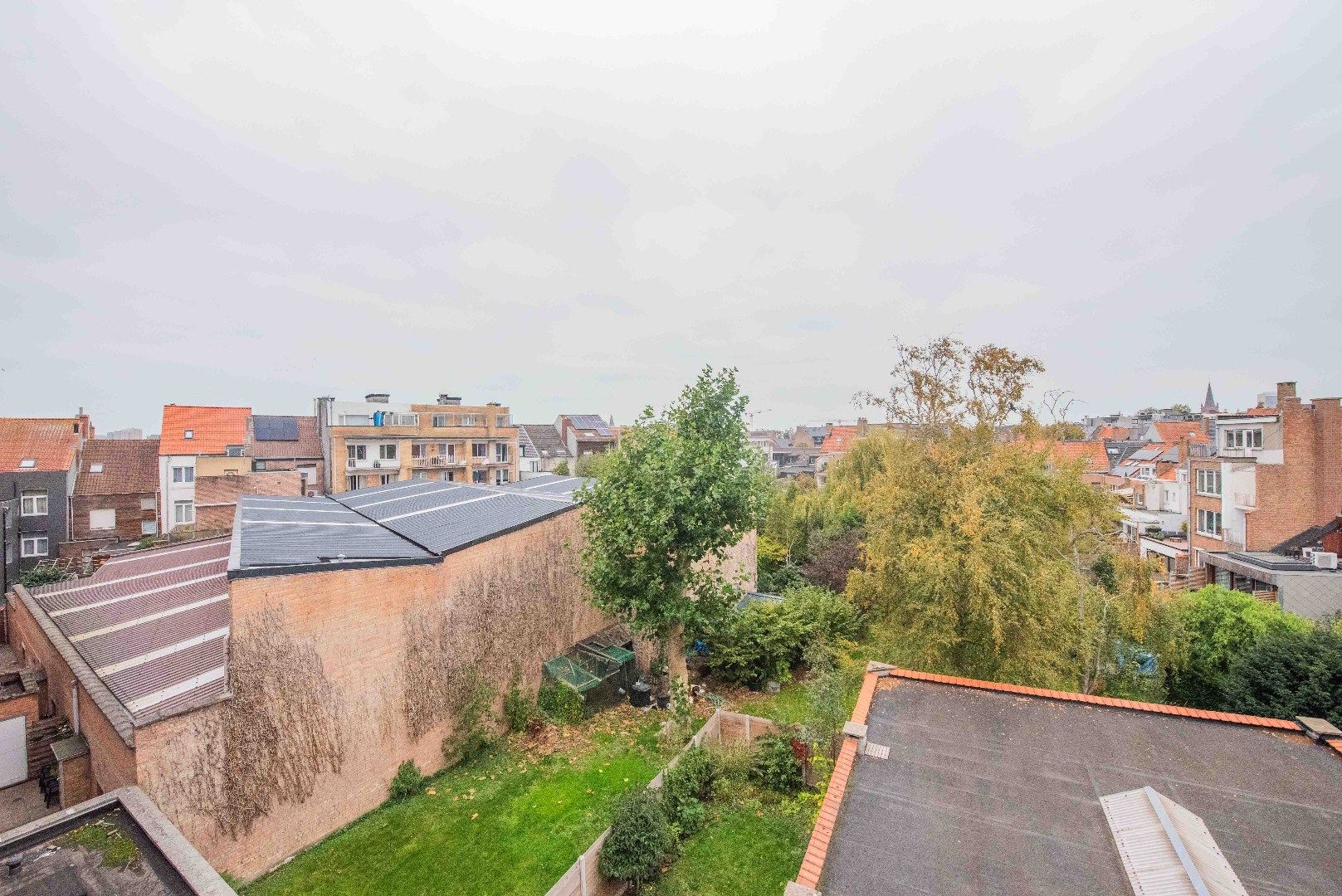 OOSTENDE - WIJK VOGELZANG foto 19