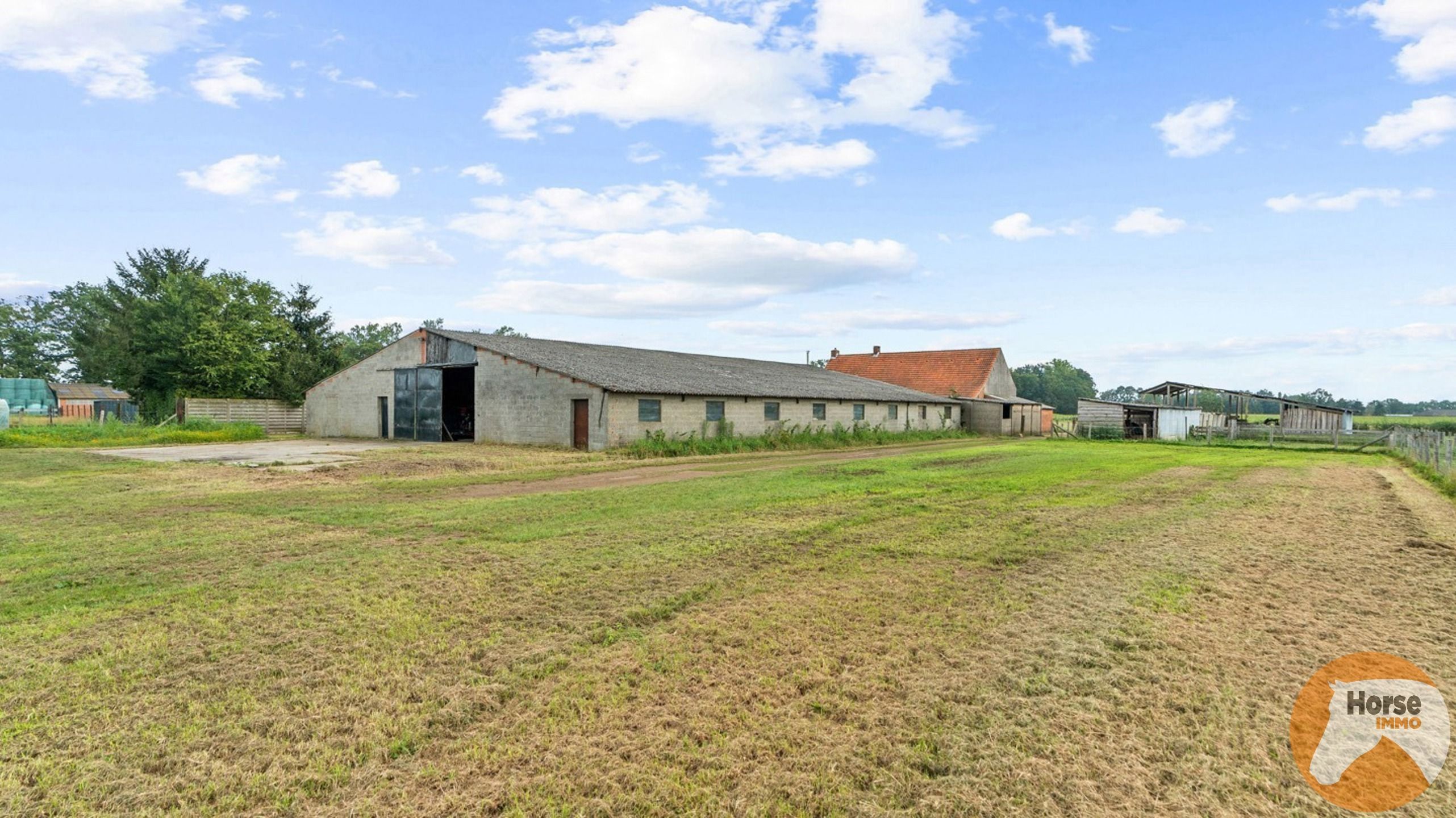 HEIST-OP-DEN-BERG - Te renoveren landbouwwoning met loods op 2,3 Ha foto 5