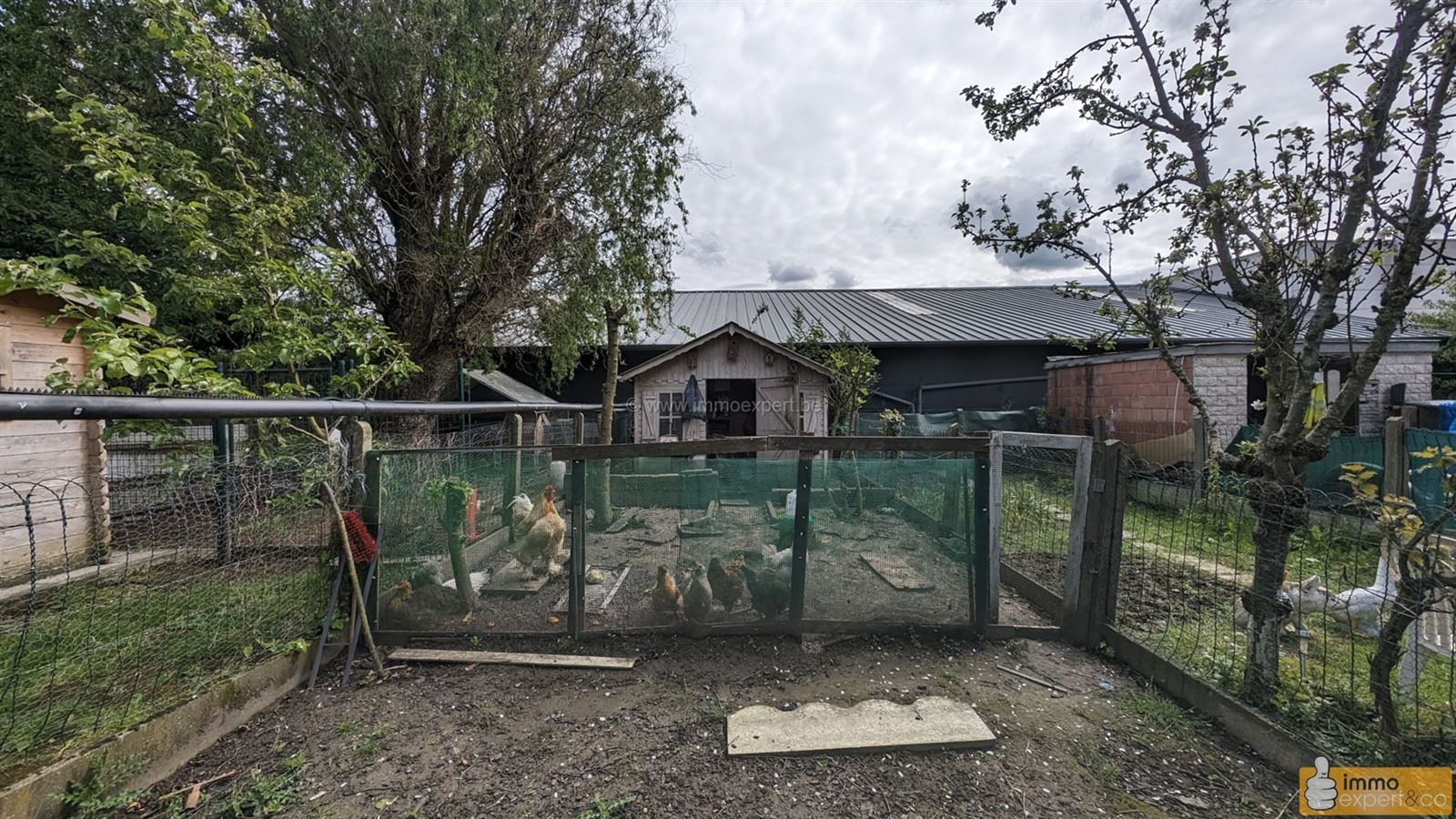 NINOVE: Gemoderniseerde woning met 4 slpks, tuin en terras foto 11