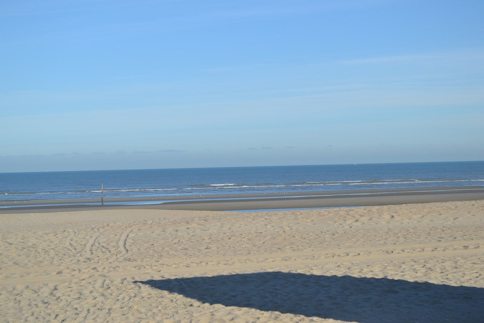 Hoofdfoto van de publicatie: Studio met zeezicht te Oostduinkerke !