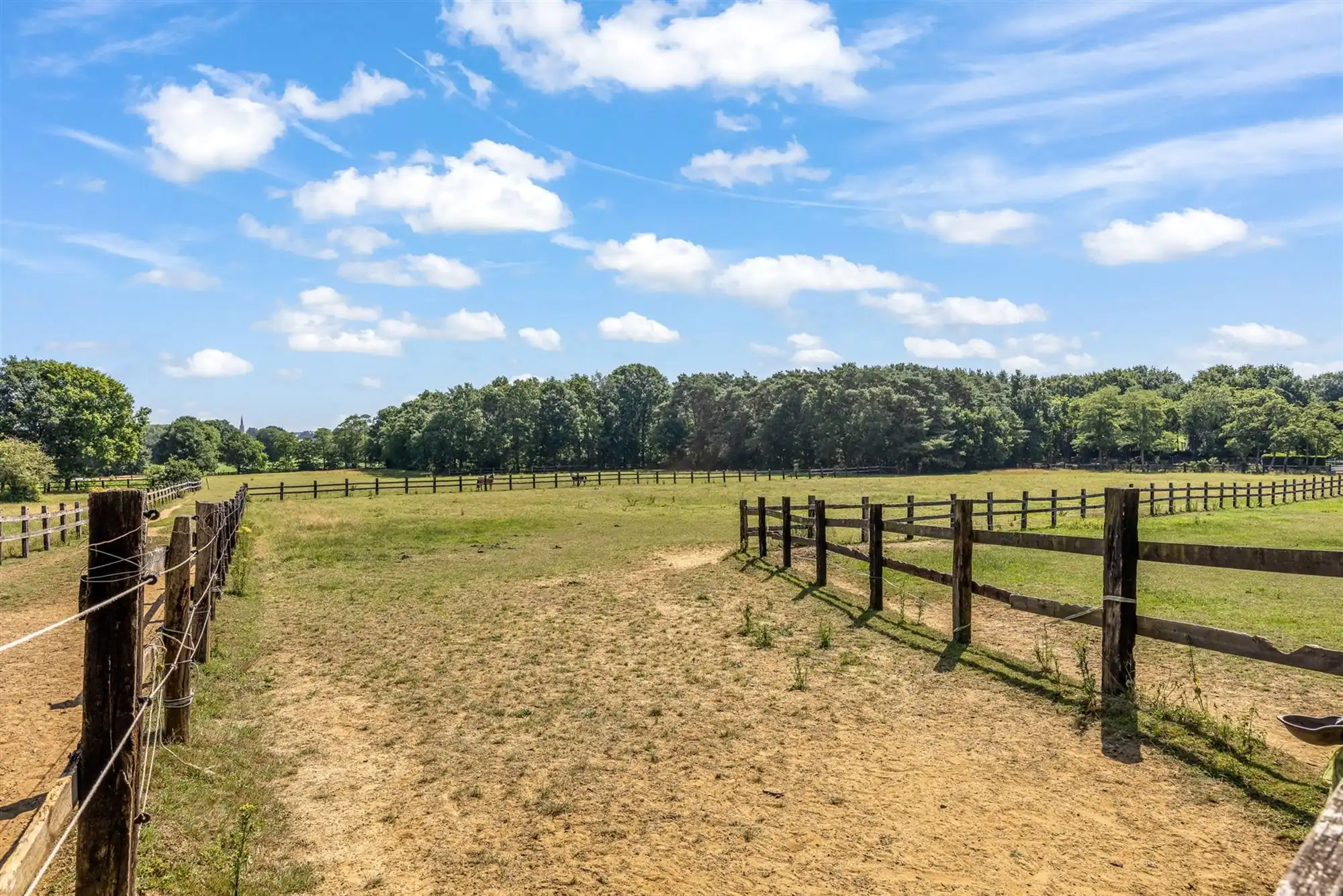 UNIEKE EIGENDOM MET 24 PAARDENSTALLEN EN BINNENPISTE OP CA 10 HECTARE TE PAAL-BERINGEN foto 47