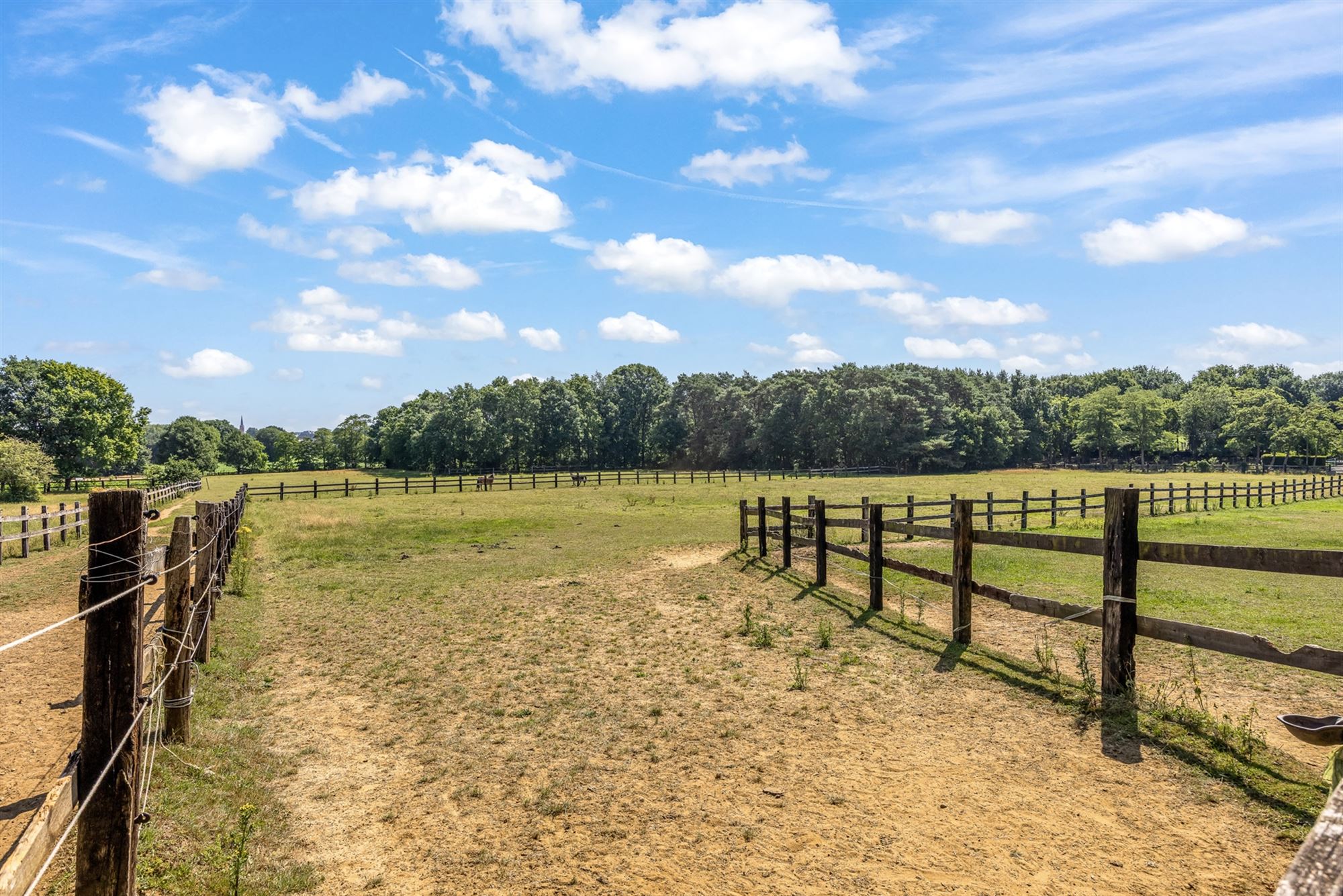 UNIEKE EIGENDOM MET 24 PAARDENSTALLEN EN BINNENPISTE OP CA 10 HECTARE TE PAAL-BERINGEN foto 47
