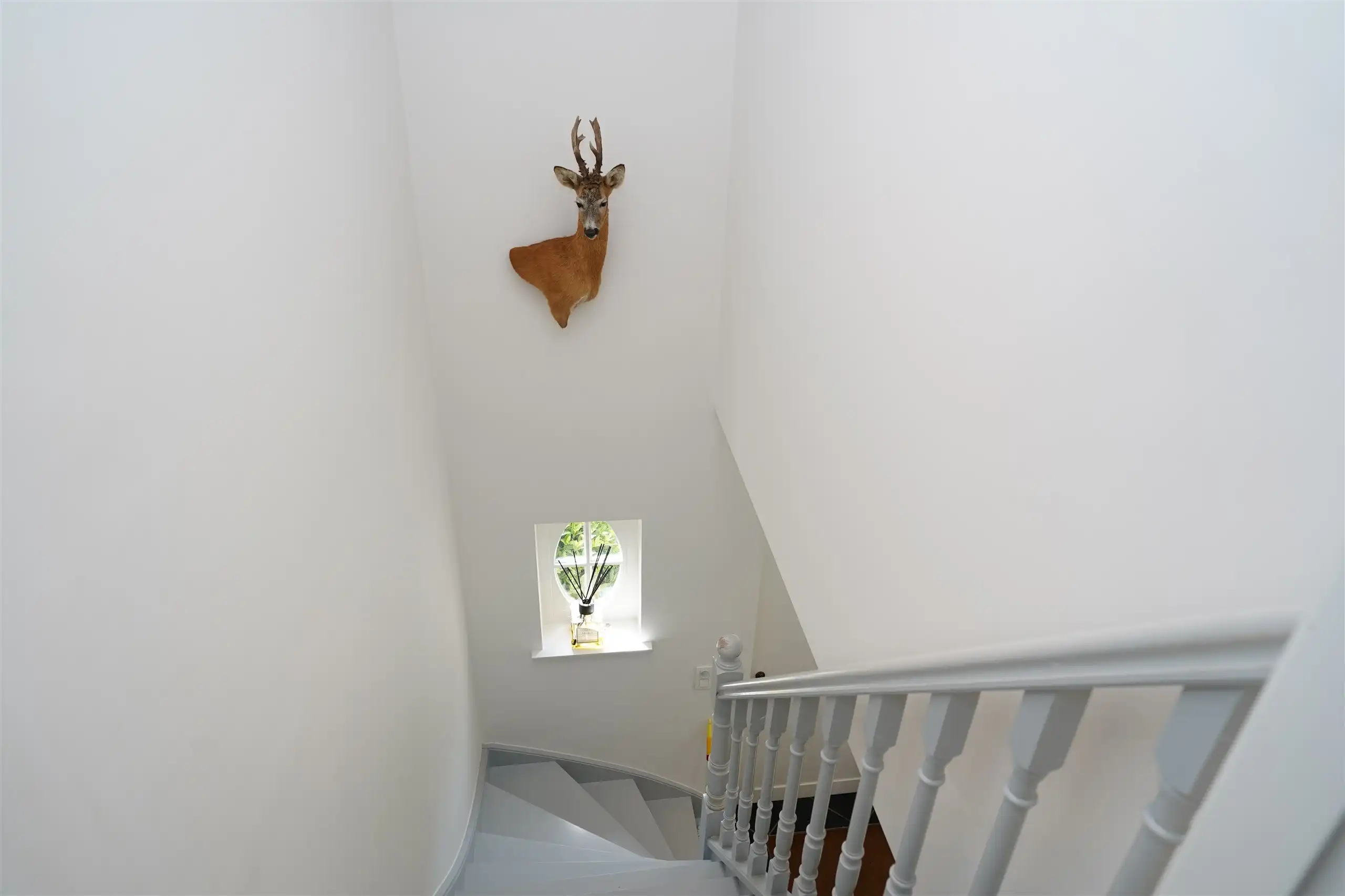 Totaal gerenoveerde eigendom op 1.245 m² nabij Kortrijk foto 27