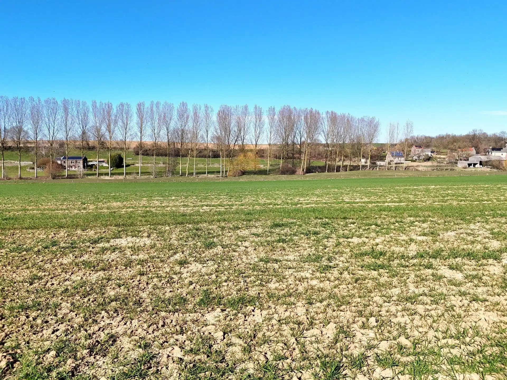 Groot perceel landbouwgrond - BLOK A foto 15