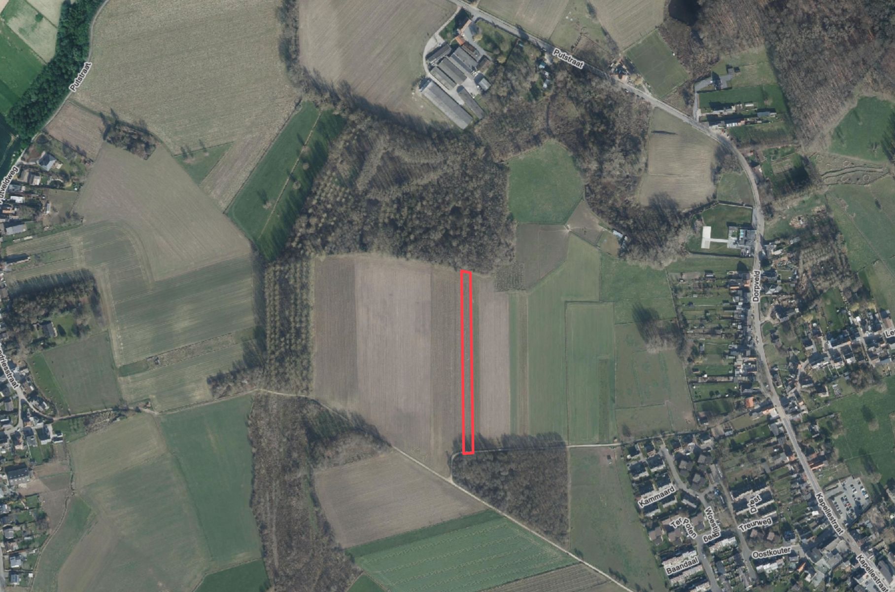 LANDBOUWGROND TE KOOP REGIO ASSE foto 2