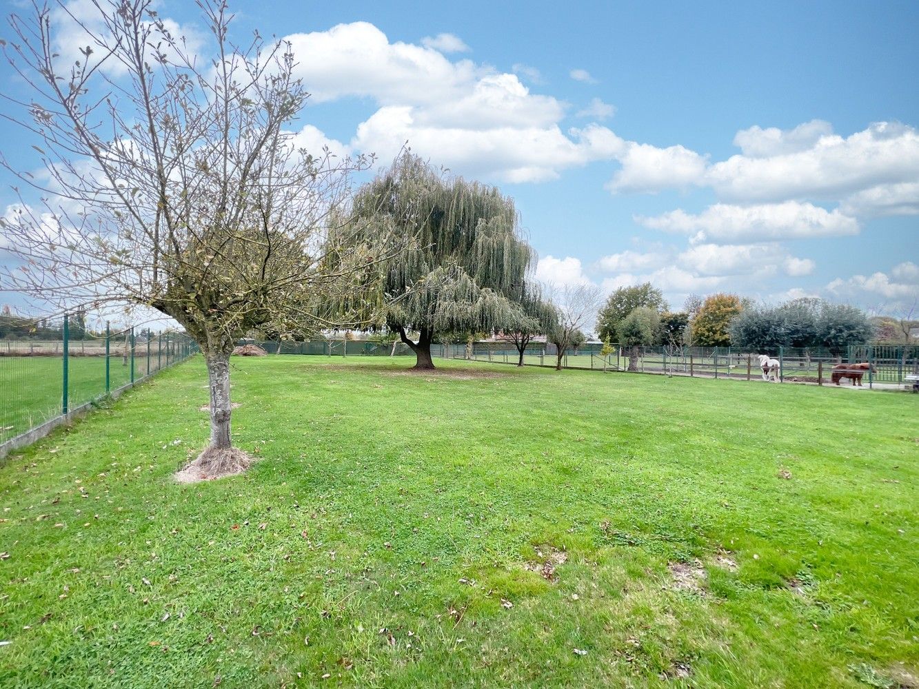Heel ruime gezinswoning (350m²)+prachtige tuin (2000m²)! foto 2