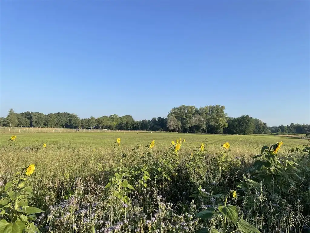 Unieke bouwgrond op een prachtige locatie!  foto 2