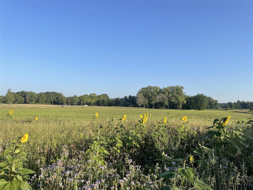 Unieke bouwgrond op een prachtige locatie!  foto 2