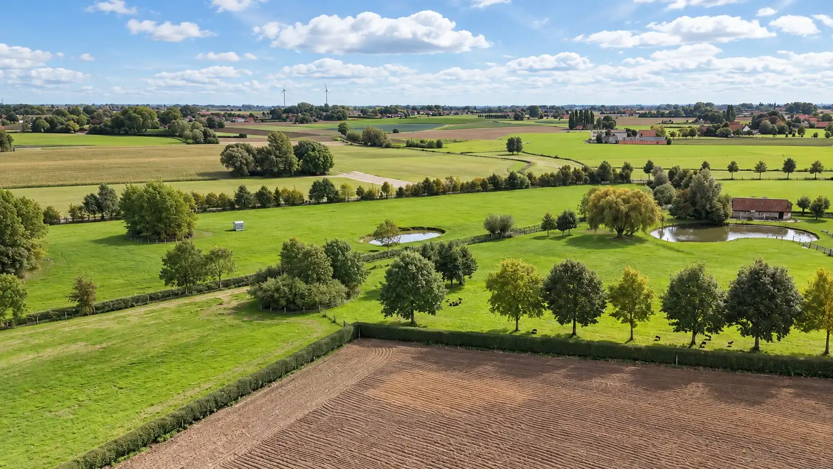 Unieke eigendom op veel grond met 4 kamers, 2 badkamers, dubbele garage, landelijk verzicht,... foto 2