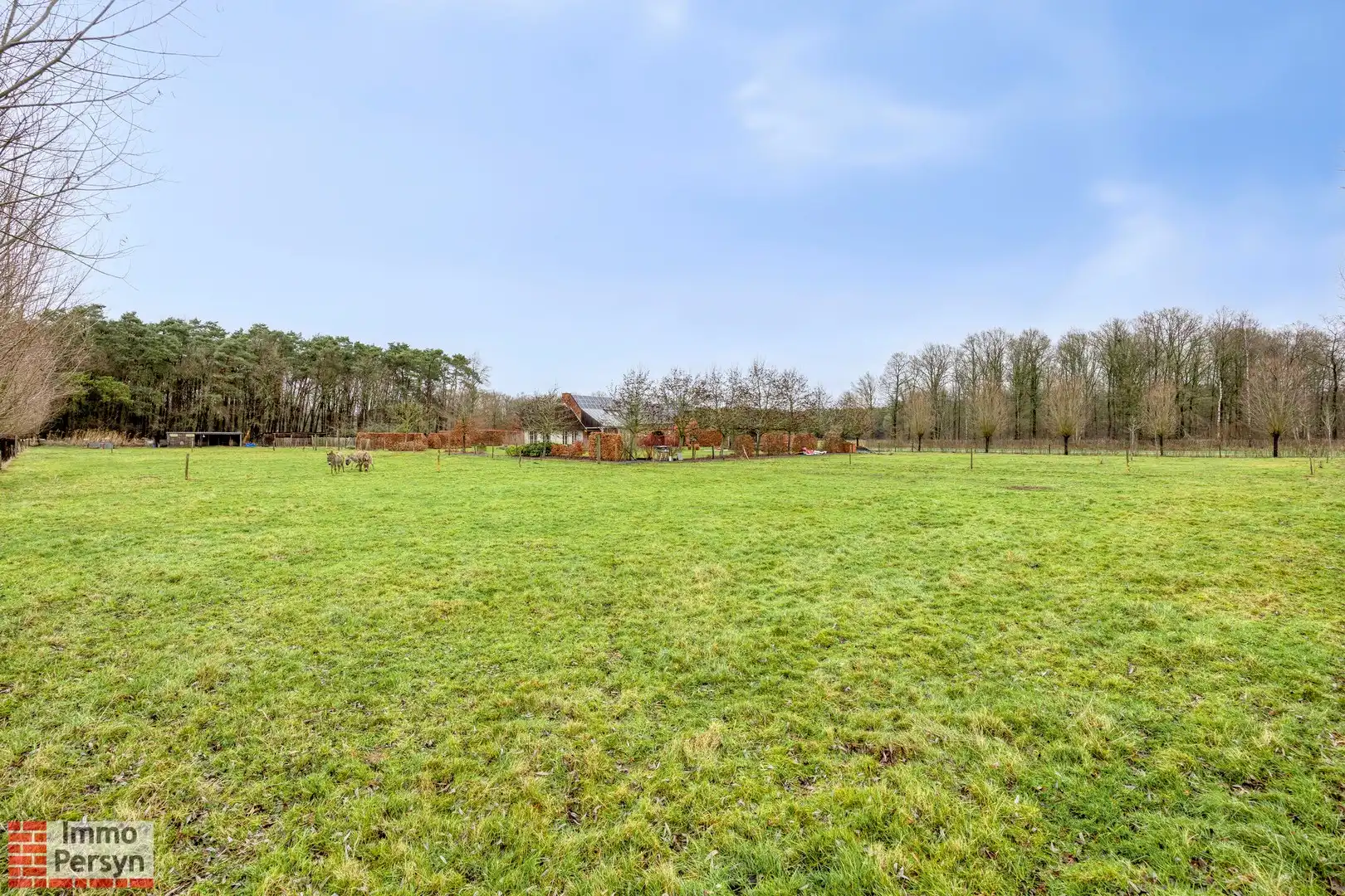 Exclusieve villa op 1,2ha in het groene Langdorp foto 65
