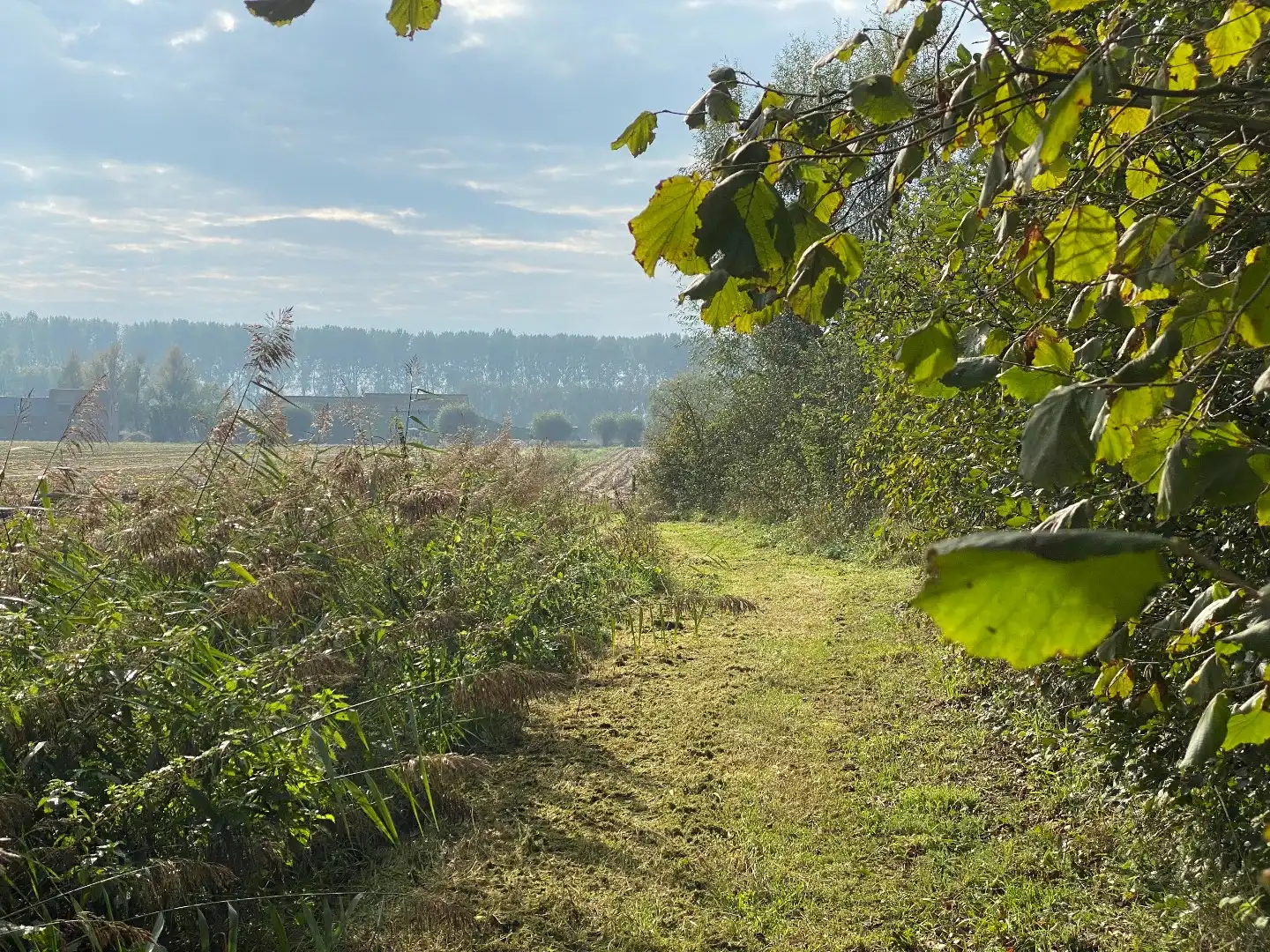 Kavel Moershoofde foto 4