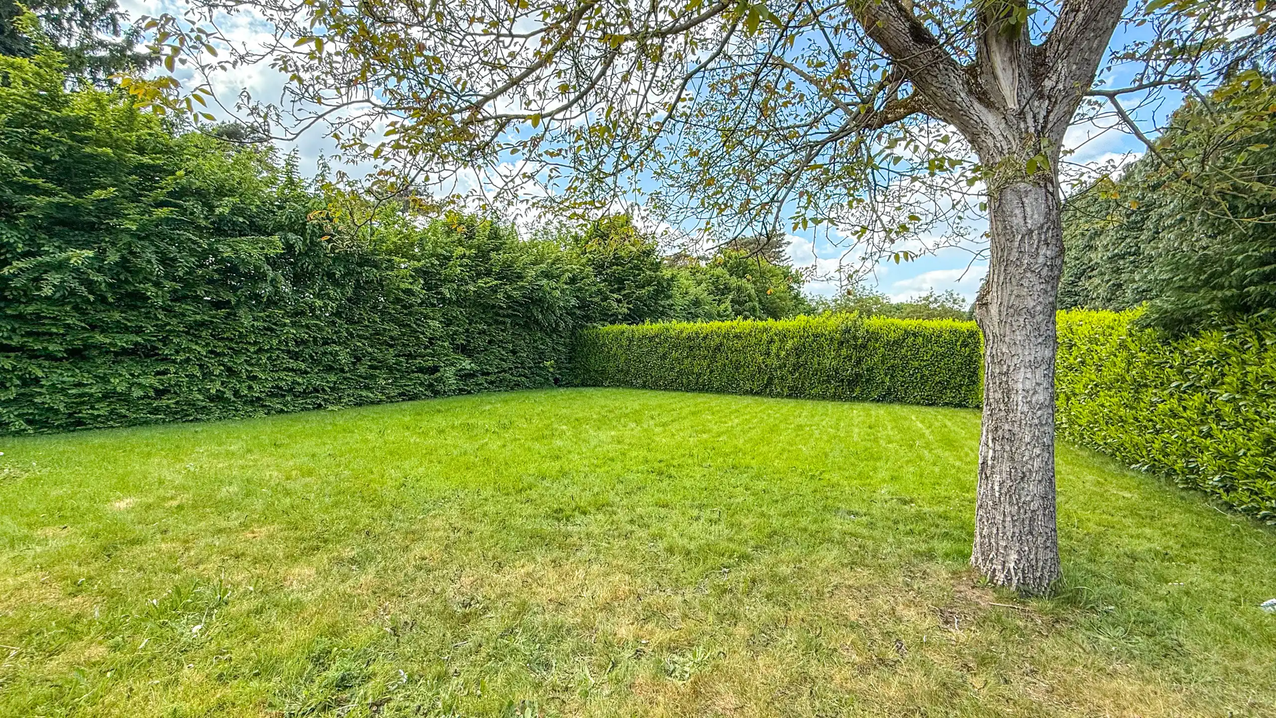 Prachtig handelspand met woonst op toplocatie (40are grond)! foto 27