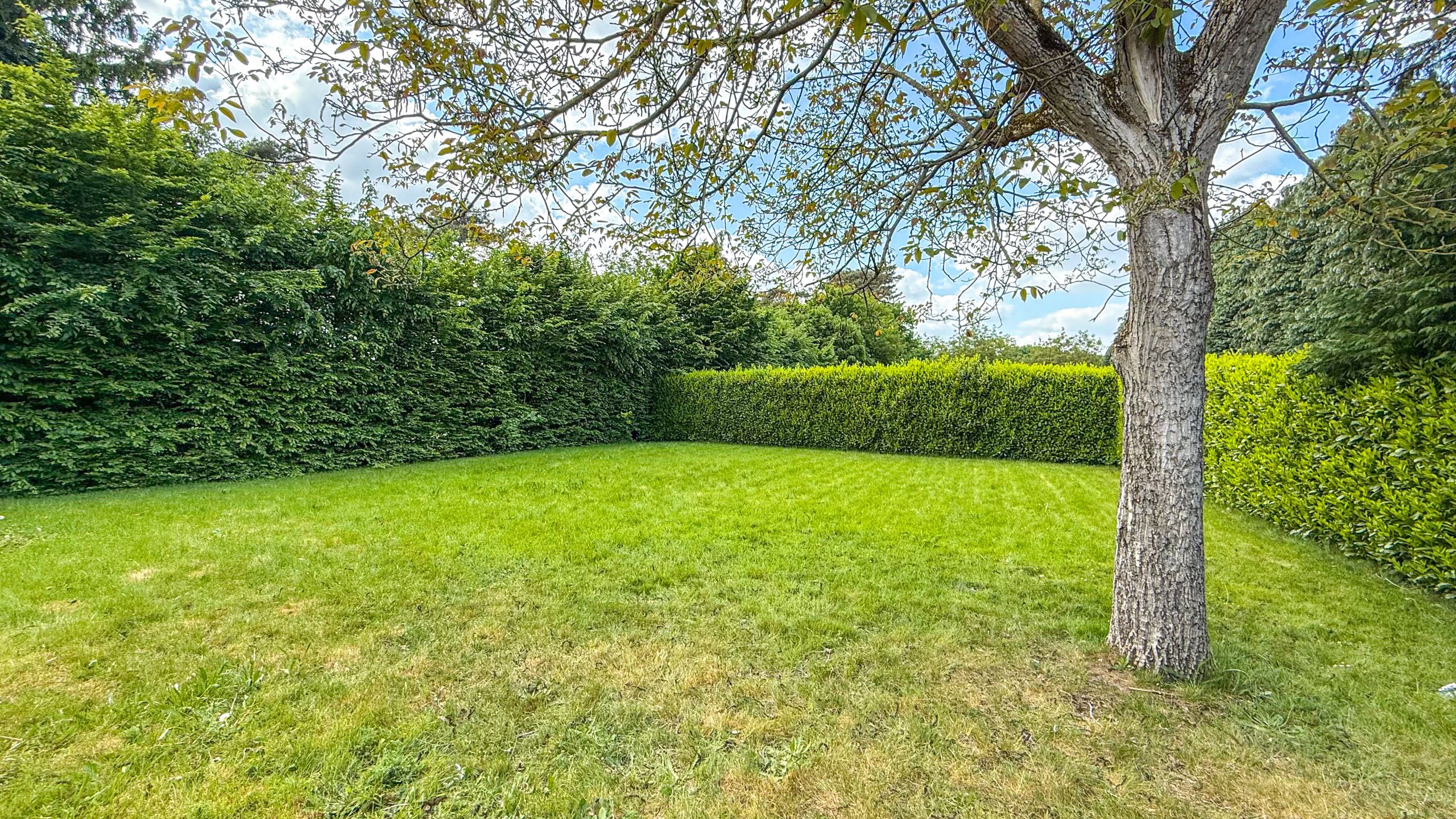 Prachtig handelspand met woonst op toplocatie (40are grond)! foto 27