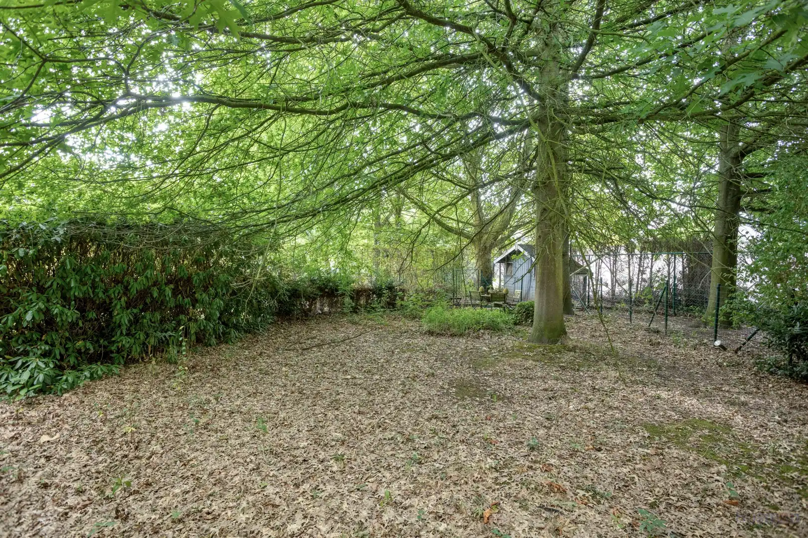 Ruime gezinswoning op perceel van 14a 16ca te koop in Tessenderlo foto 30