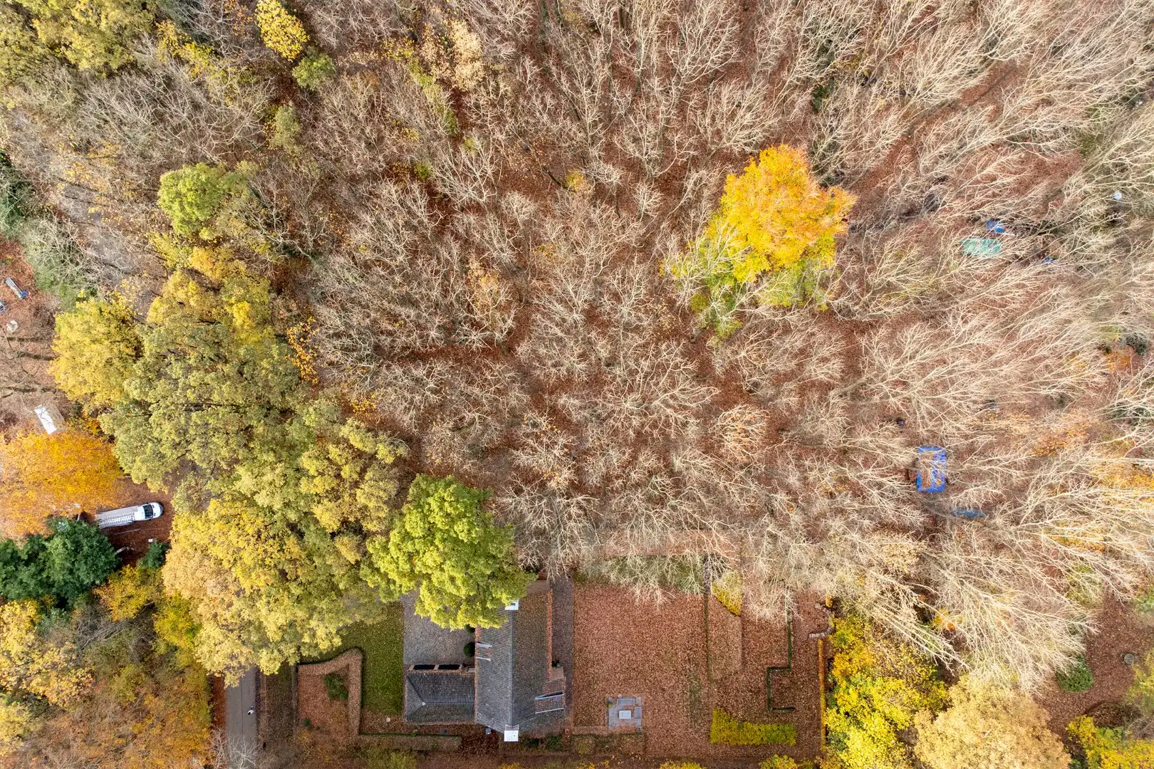 Prachtige bouwgrond van 22a 63ca te koop op een toplocatie in Hoog-Linden!  foto 7