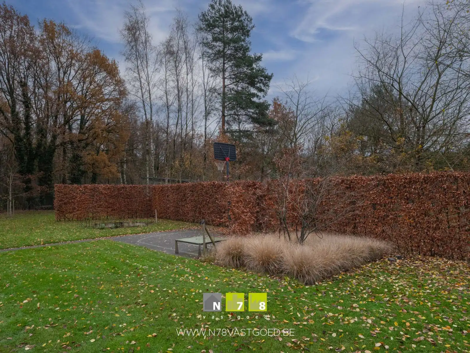 Huis te koop foto 48