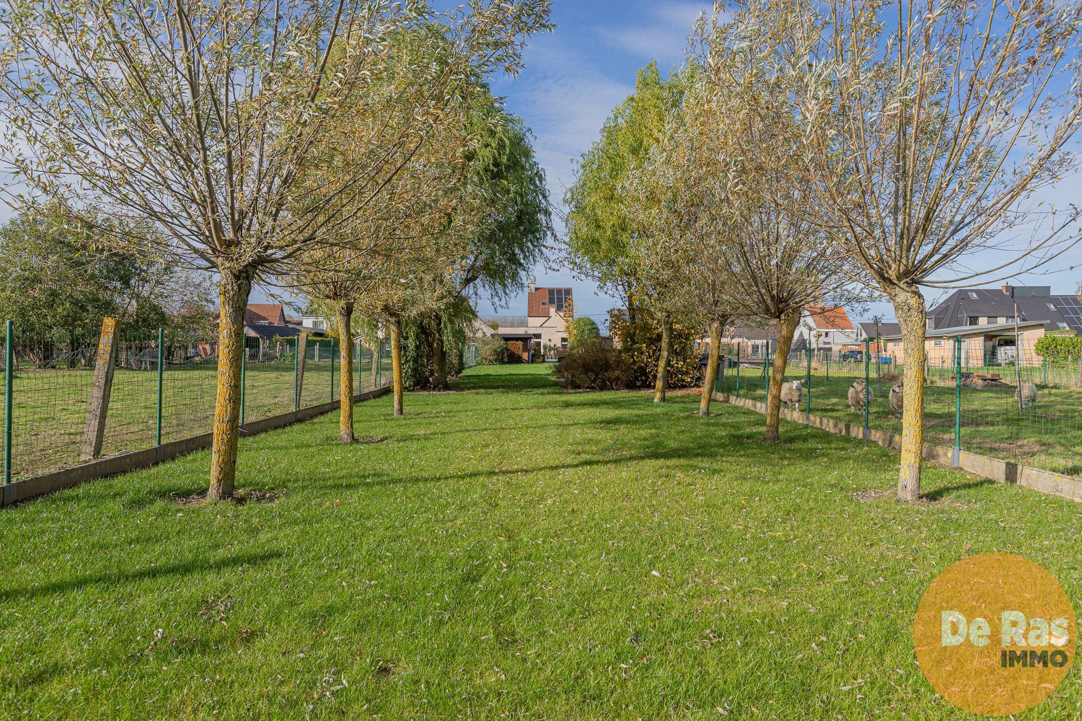 WICHELEN - Instapklare woning met prachtig verzicht foto 25