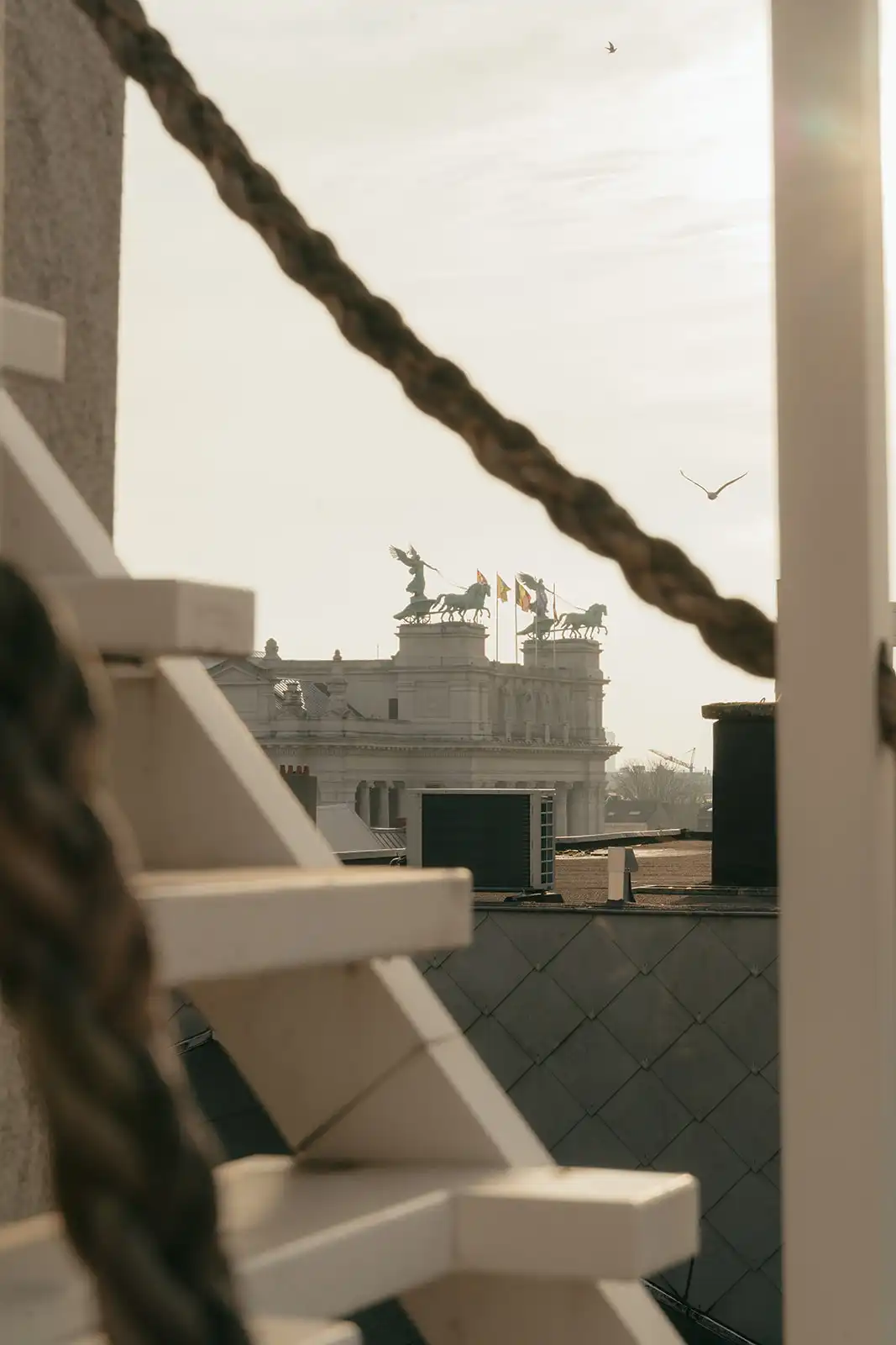 Penthouse op gelijke hoogte en uitzicht op de steigerende paarden van het Koninklijk Museum van Schone Kunsten foto 25