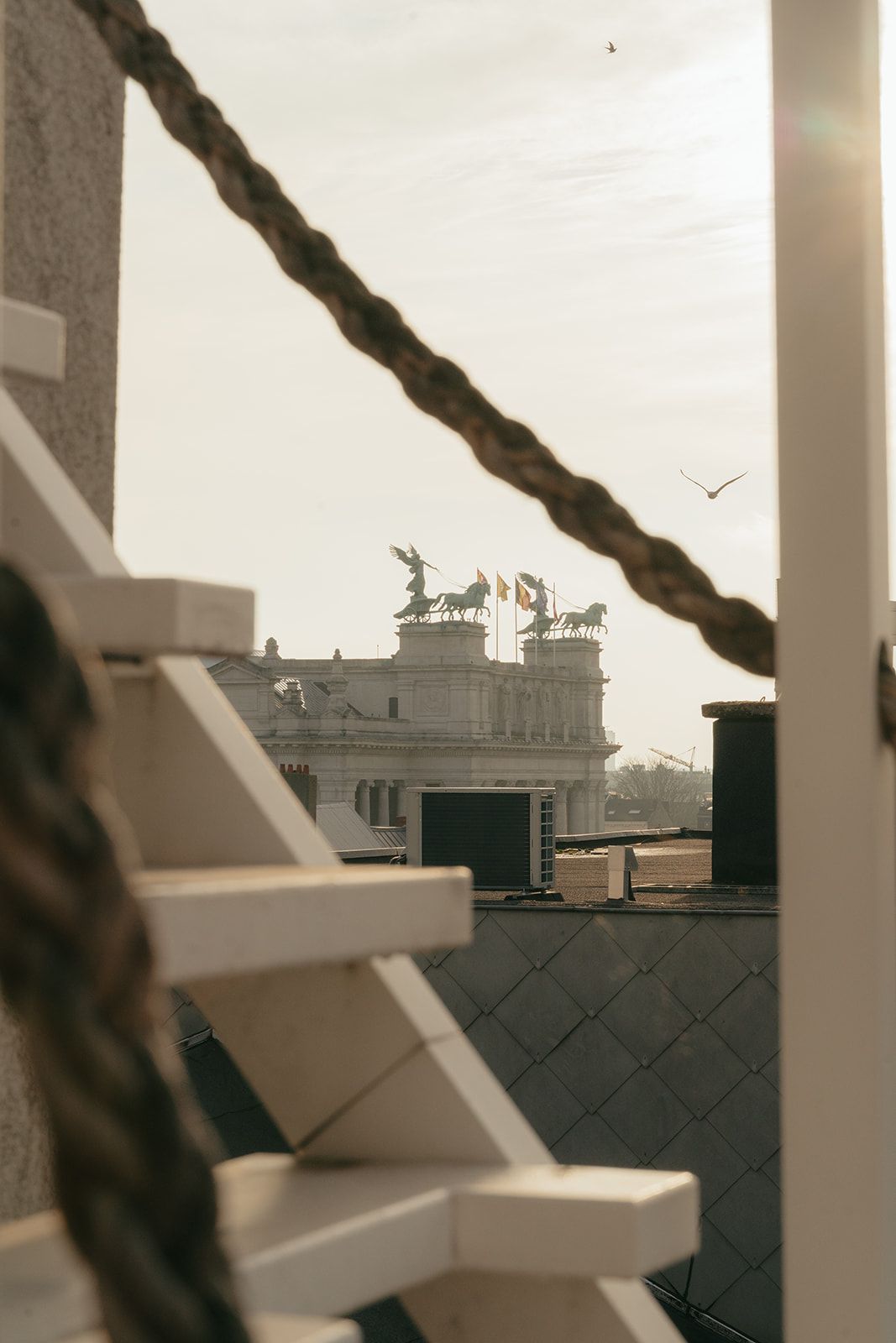 Penthouse op gelijke hoogte en uitzicht op de steigerende paarden van het Koninklijk Museum van Schone Kunsten foto 25