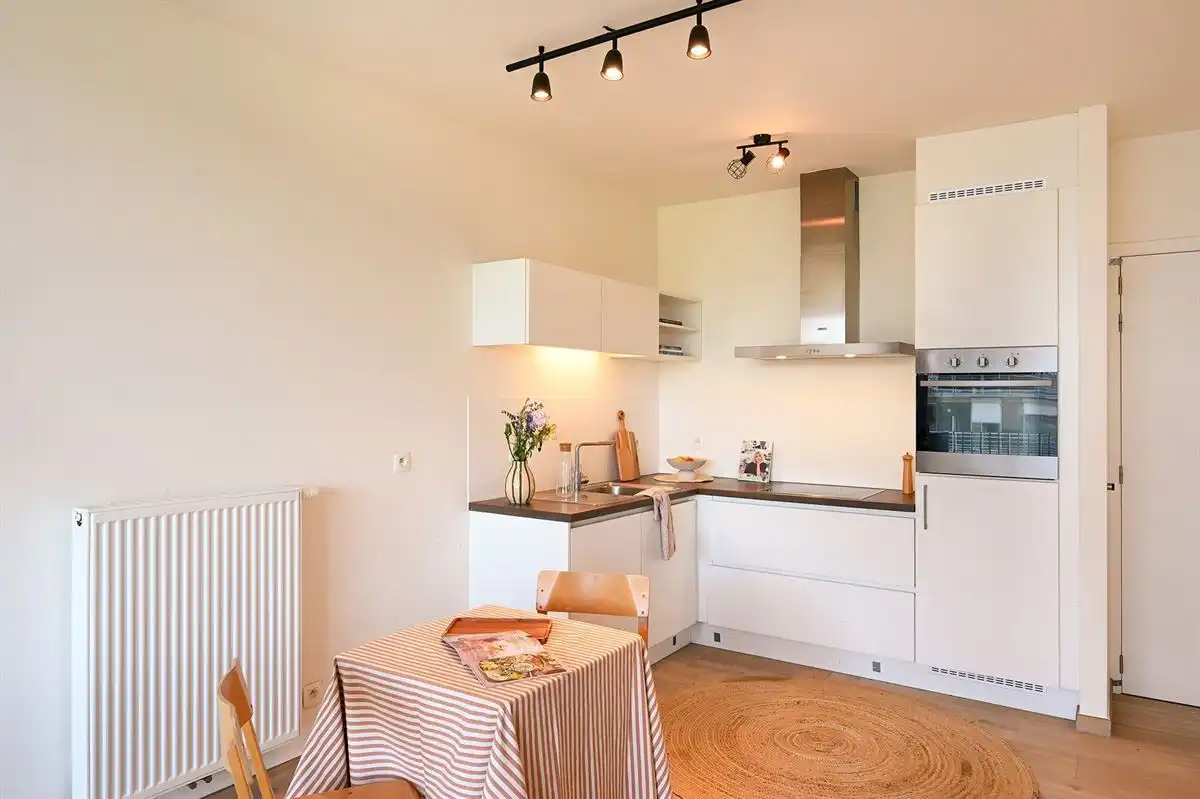 Tof éénslaapkamer-appartement met zonnig terras foto 9