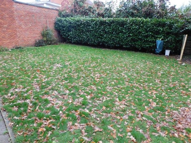 Knus gelijkvloers appartement met tuin  foto 12