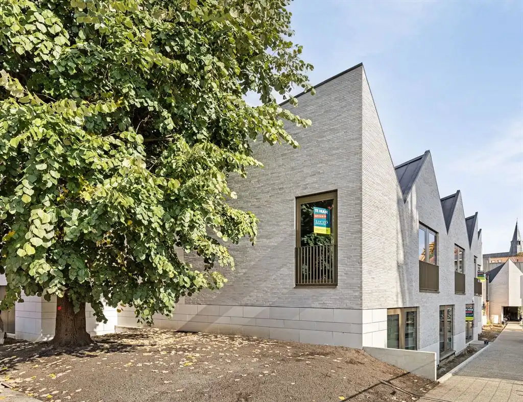 Project Blauwe hond 1 - 3000 LEUVEN