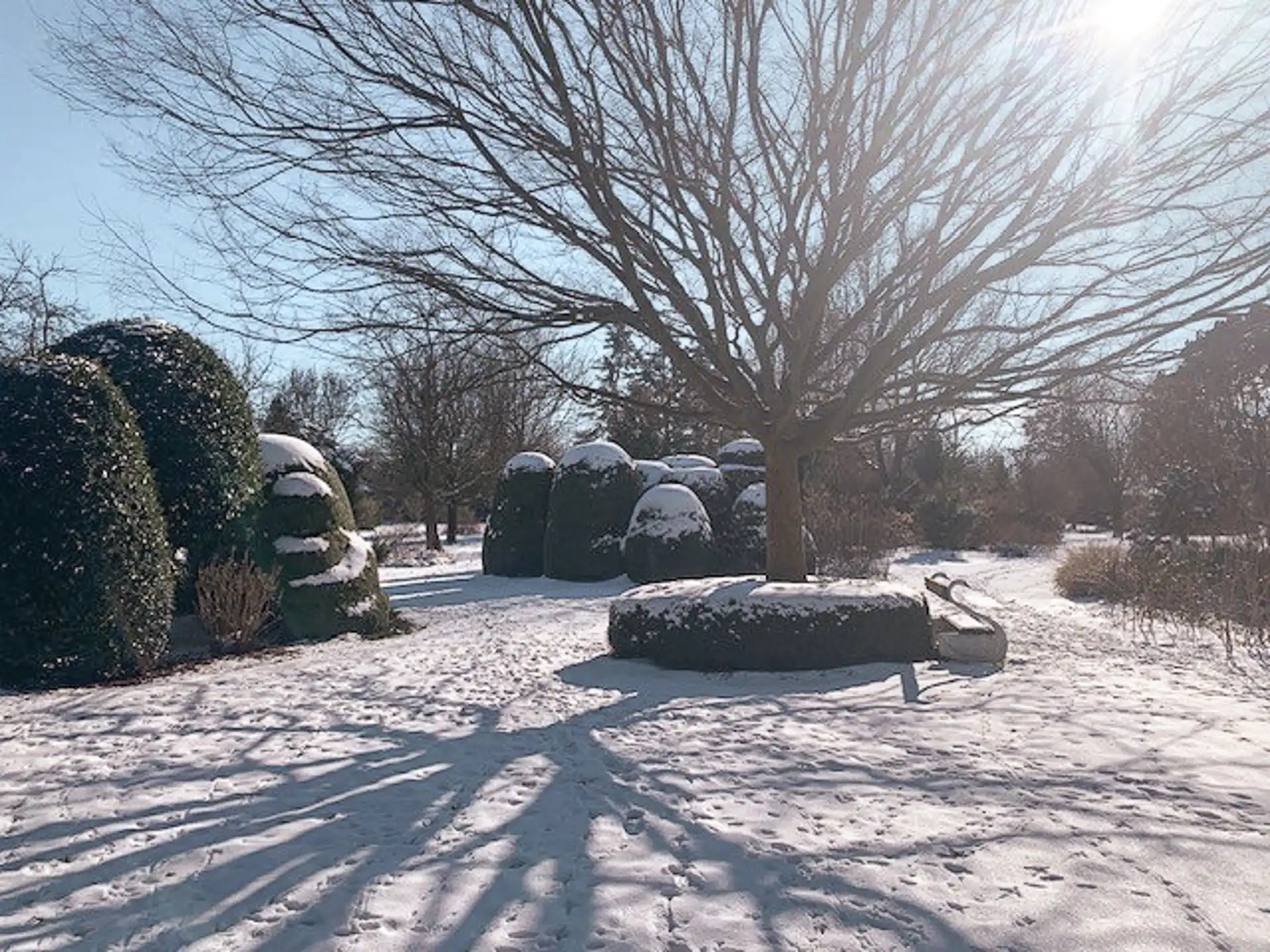 GEEL - Stijlvolle villa met parktuin foto 17