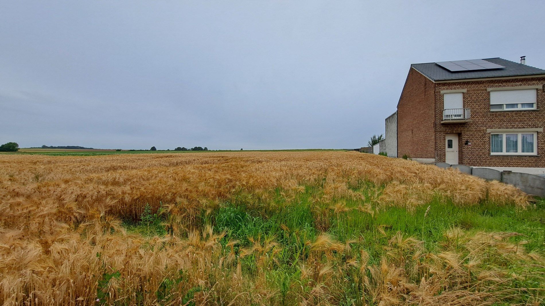 Prachtige bouwgrond voor HOB met een oppervlakte van 14a 20ca foto 2