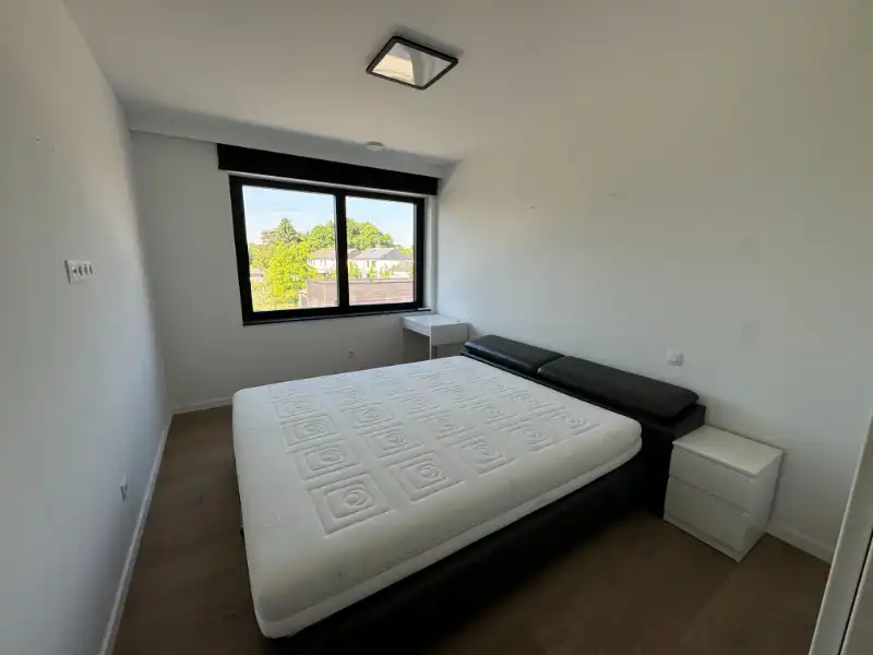 Designvilla op toplocatie in Geel – Gooreind foto 17