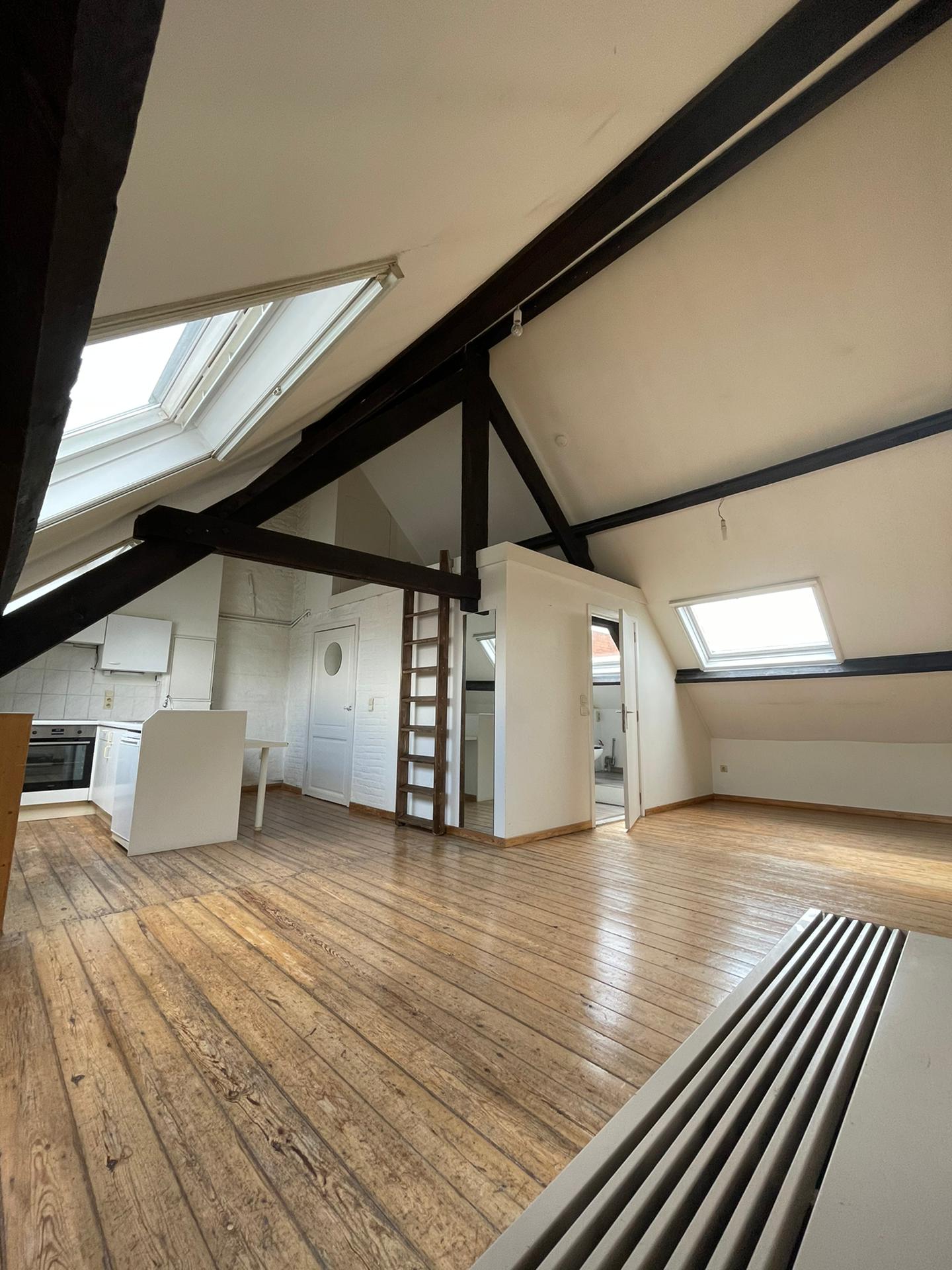 te huur: ruime lichtrijke studio 1 persoon voetgangerszone Gent Hoogpoort foto 5