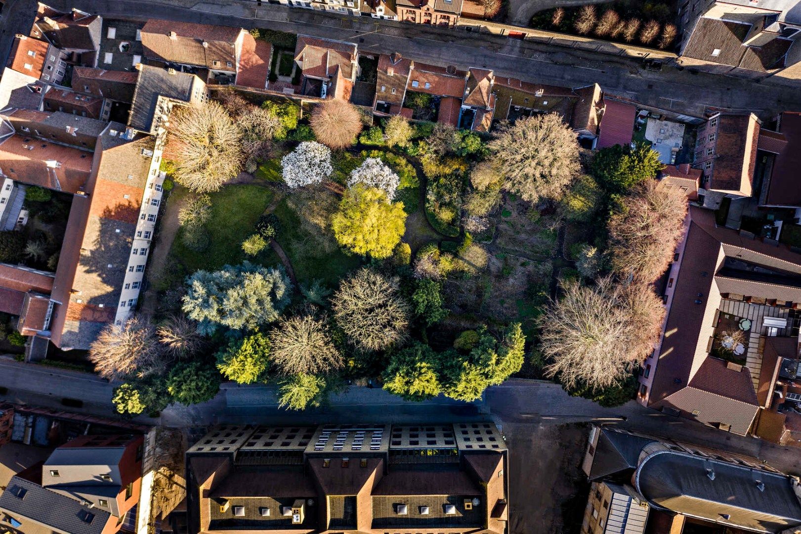 Uniek vernieuwbouwproject met riante tuin in hartje Brugge foto 4