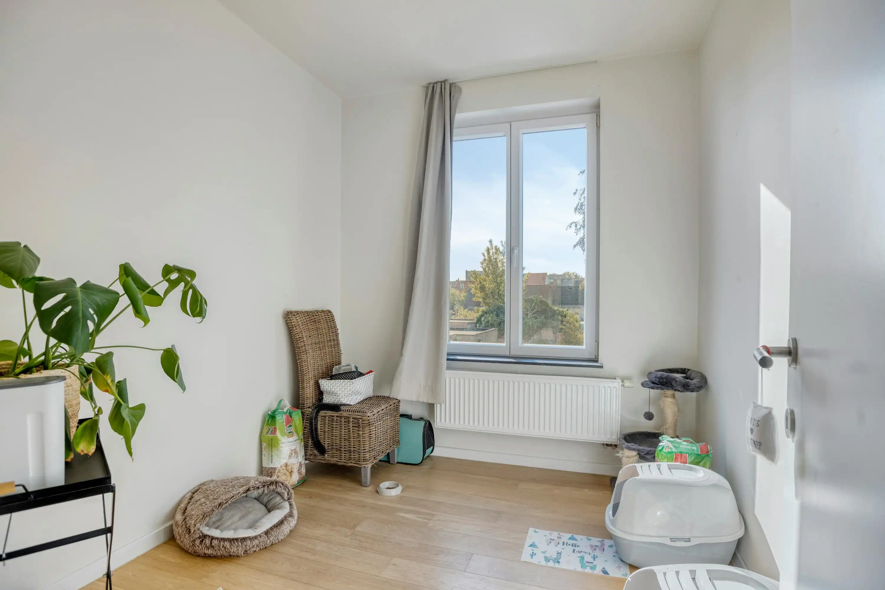 Instapklaar huis met 4 slaapkamers te koop in Kristus Koning foto 6