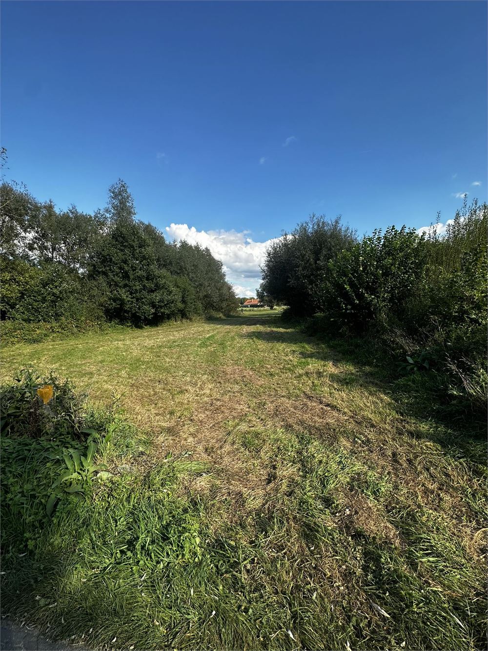 Bouwgrond met weide te Lessen, Deux-Acren foto {{pictureIndex}}
