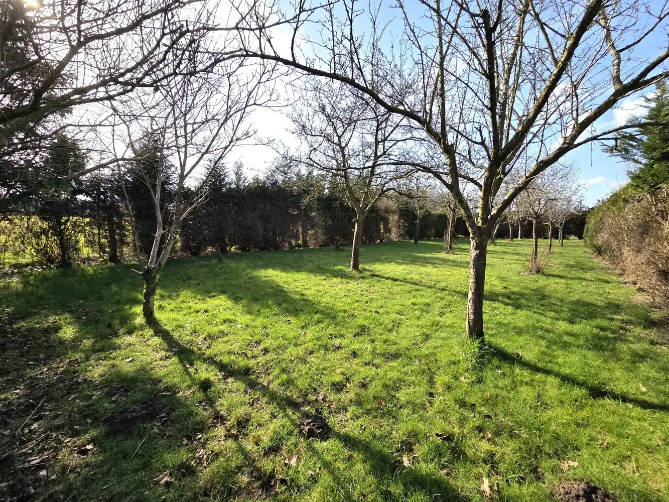 Ruime instapklare gezinswoning nabij centrum Heist met prachtige tuin en volledig onderkelderd! foto 4