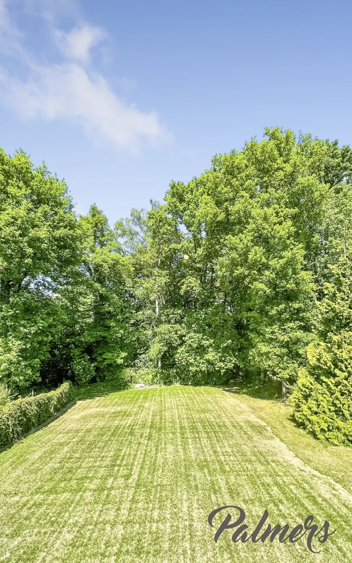 Comfort, ruimte èn ligging: instapklaar wonen in het groen. foto 12