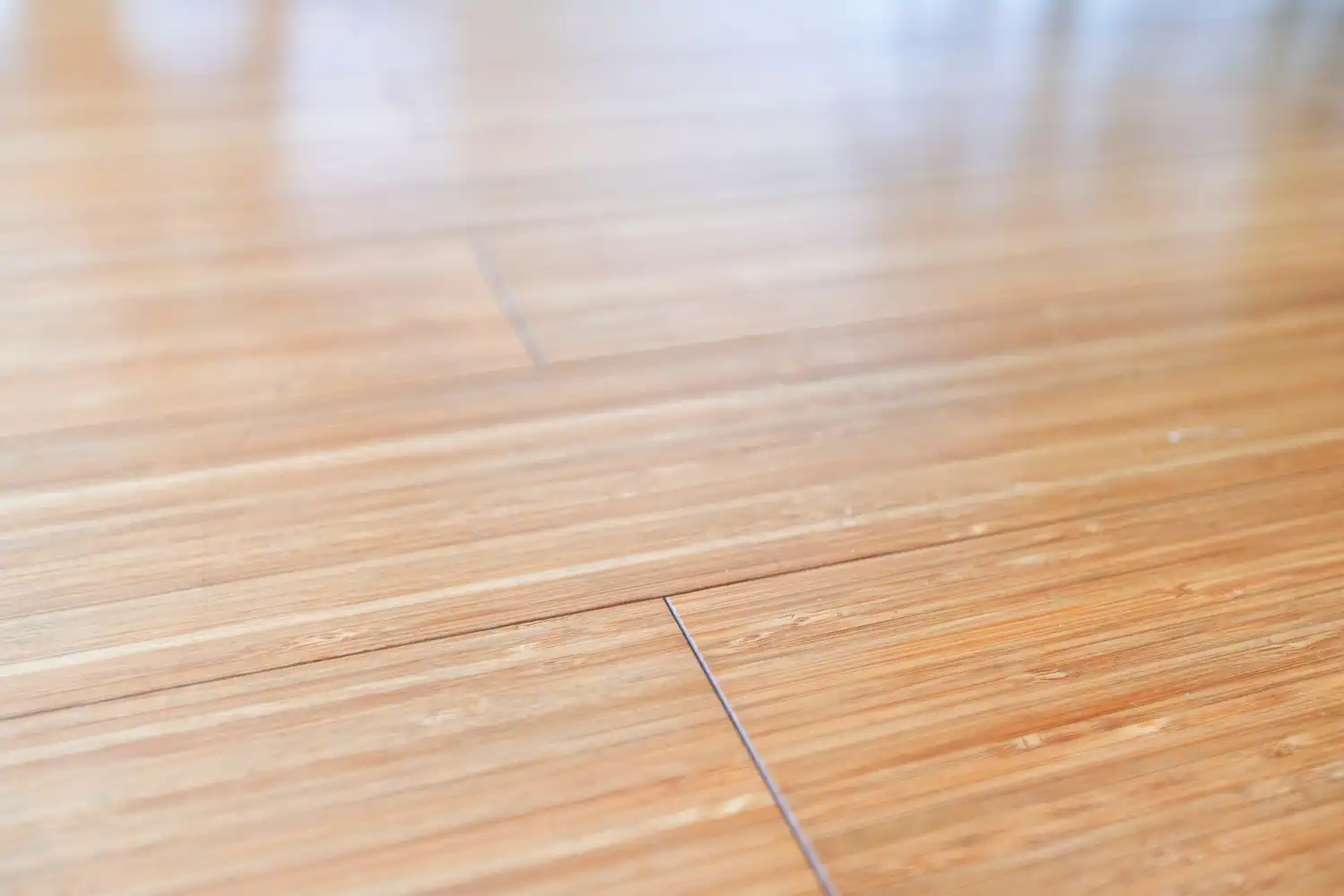 Licht éénslaapkamerappartement met EPC A — wonen in een buurt met toekomst foto 21