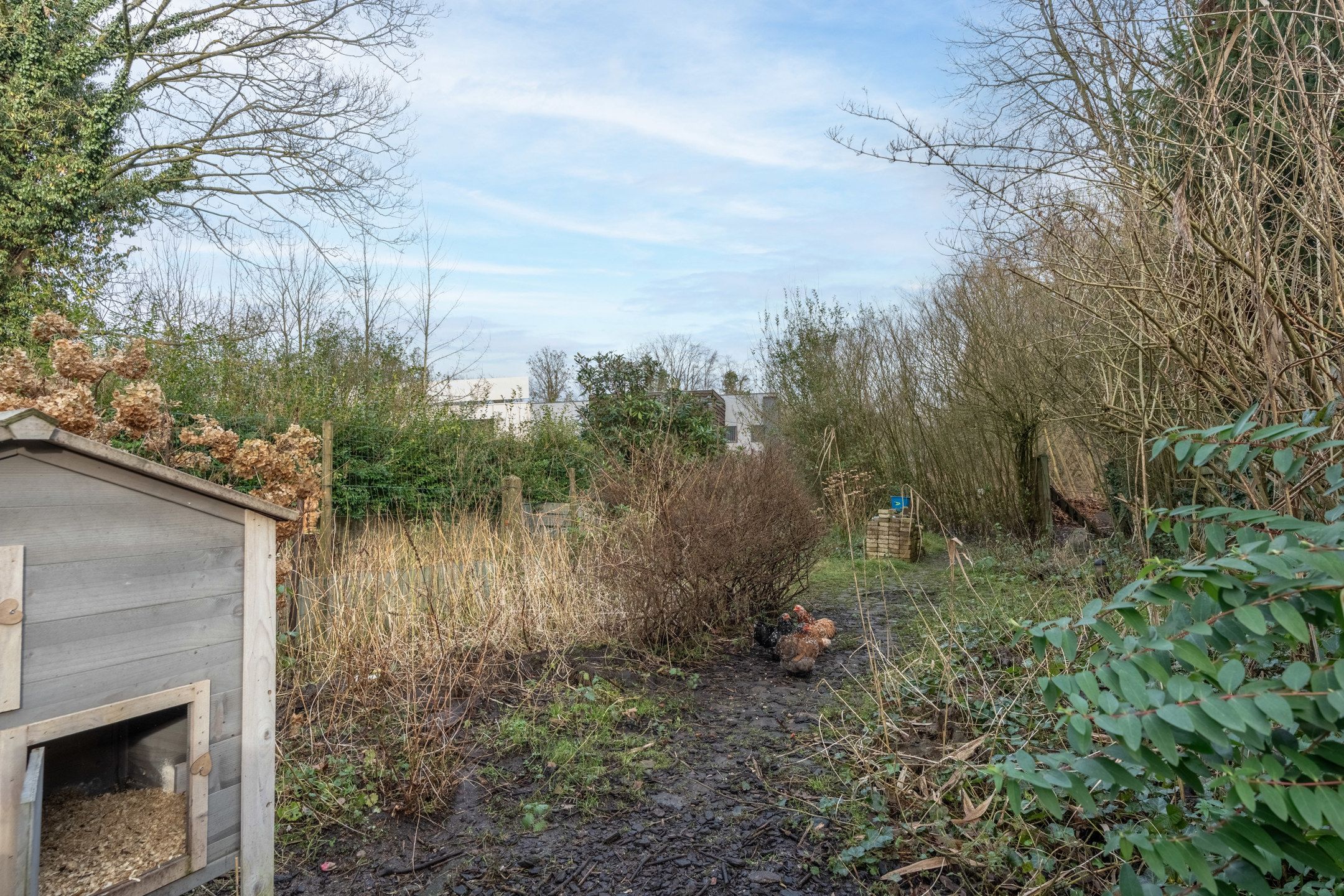 Verrassend ruime gezinswoning met praktijkruimte te Turnhout foto 30