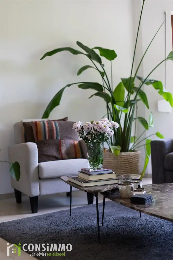 Ruime, gelijkvloerse woning met 3 slaapkamers in het groene Alken foto 18