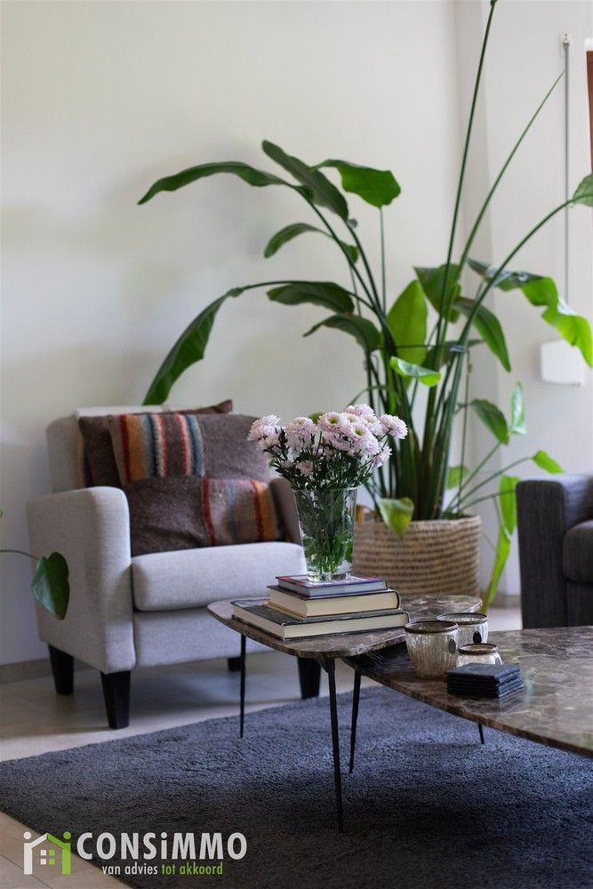 Ruime, gelijkvloerse woning met 3 slaapkamers in het groene Alken foto 18