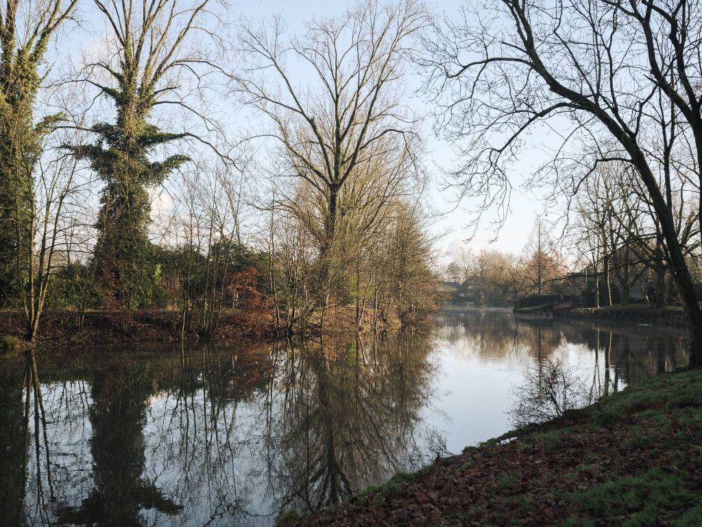 Vrijstaande villa (te renoveren) op slechts 50 meter van de Leie foto 3