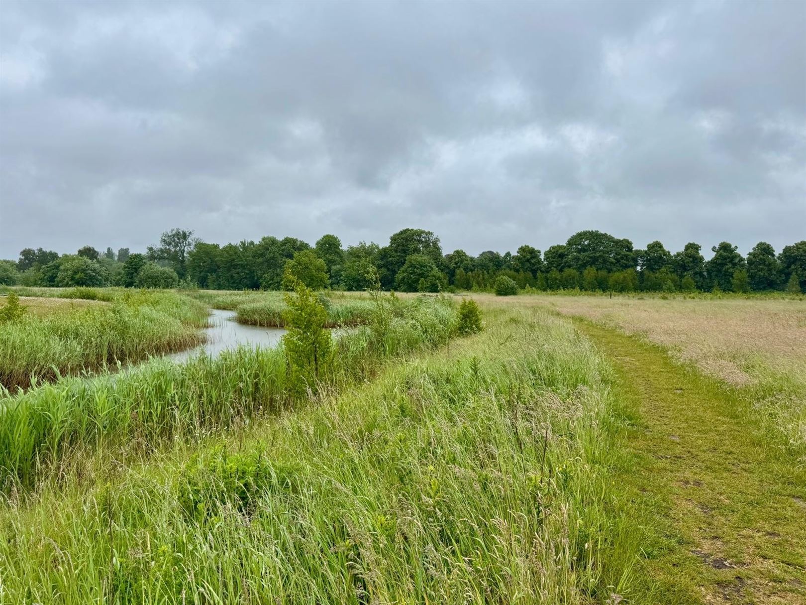 Praktische gezinswoning met tuinzicht in hartje Mortsel foto 30