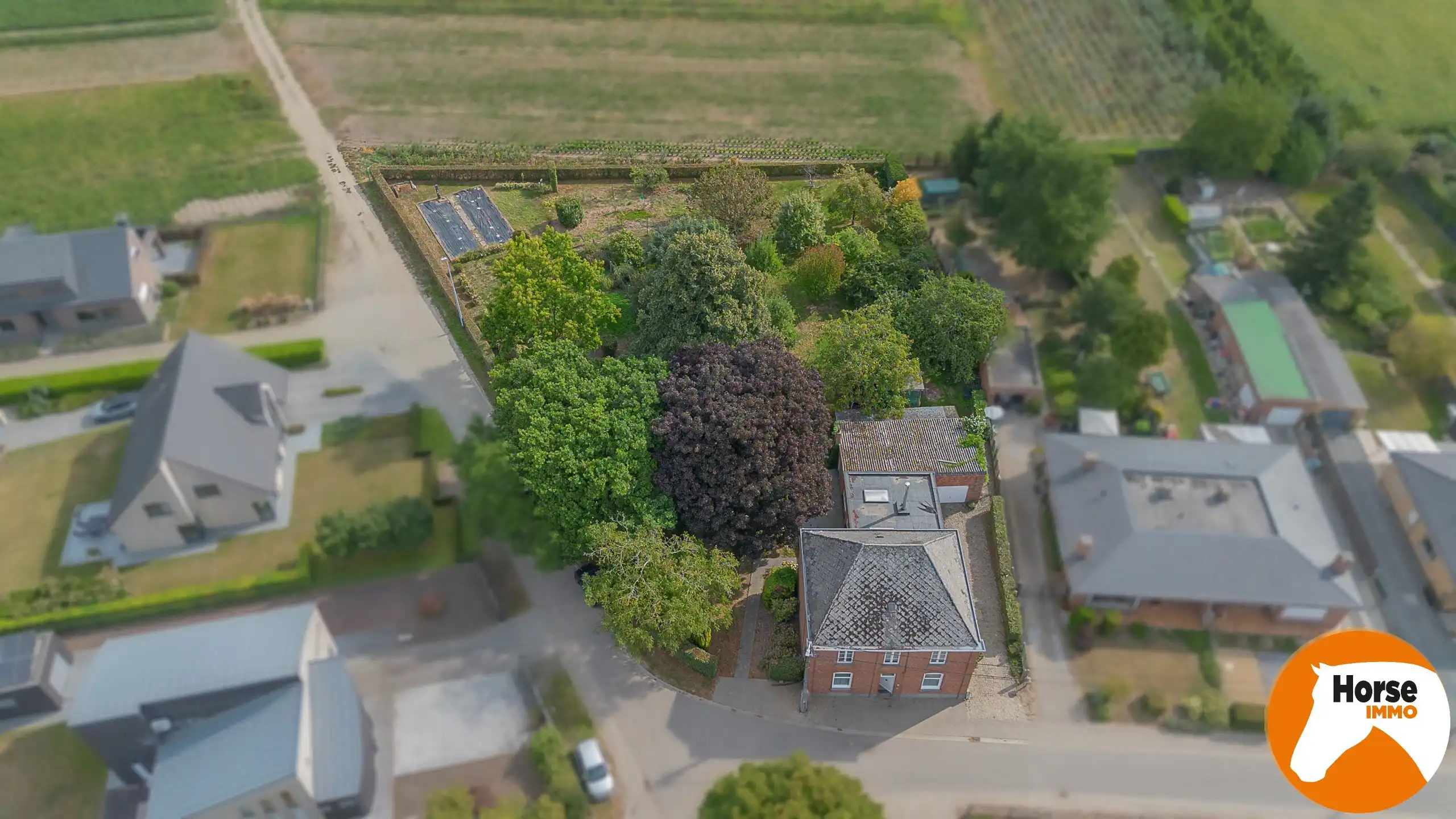 WICHELEN – Karakteristiek burgerhuis op schitterend perceel foto 3