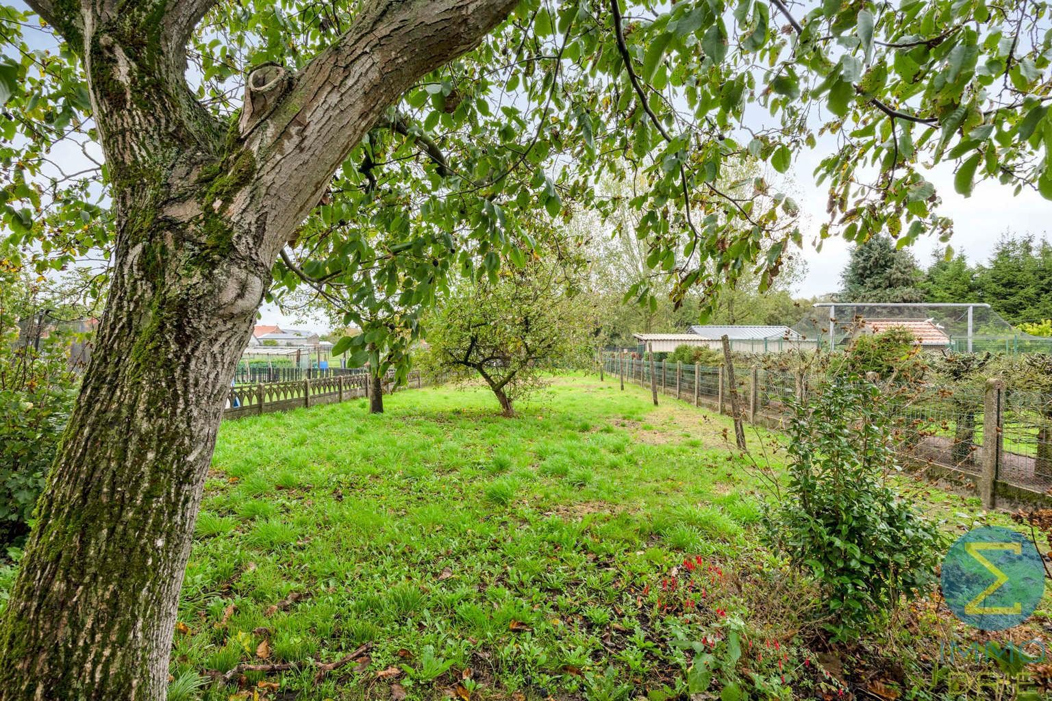 Rustig gelegen te renoveren woning met 3 slpks op 855 m² foto 26